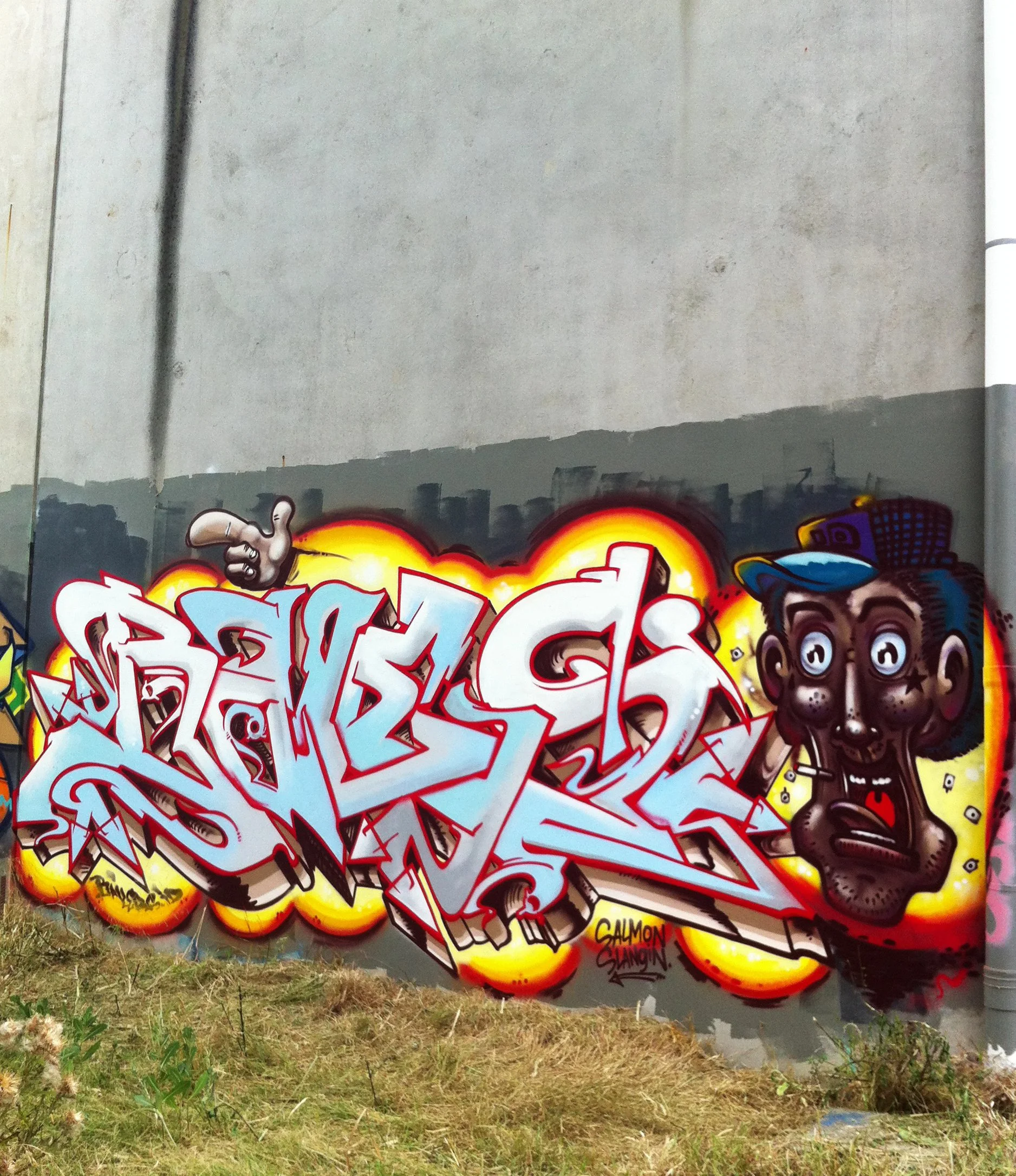 Bailer_MelbourneGraffitiArtist_GraffitiWalls32.jpg