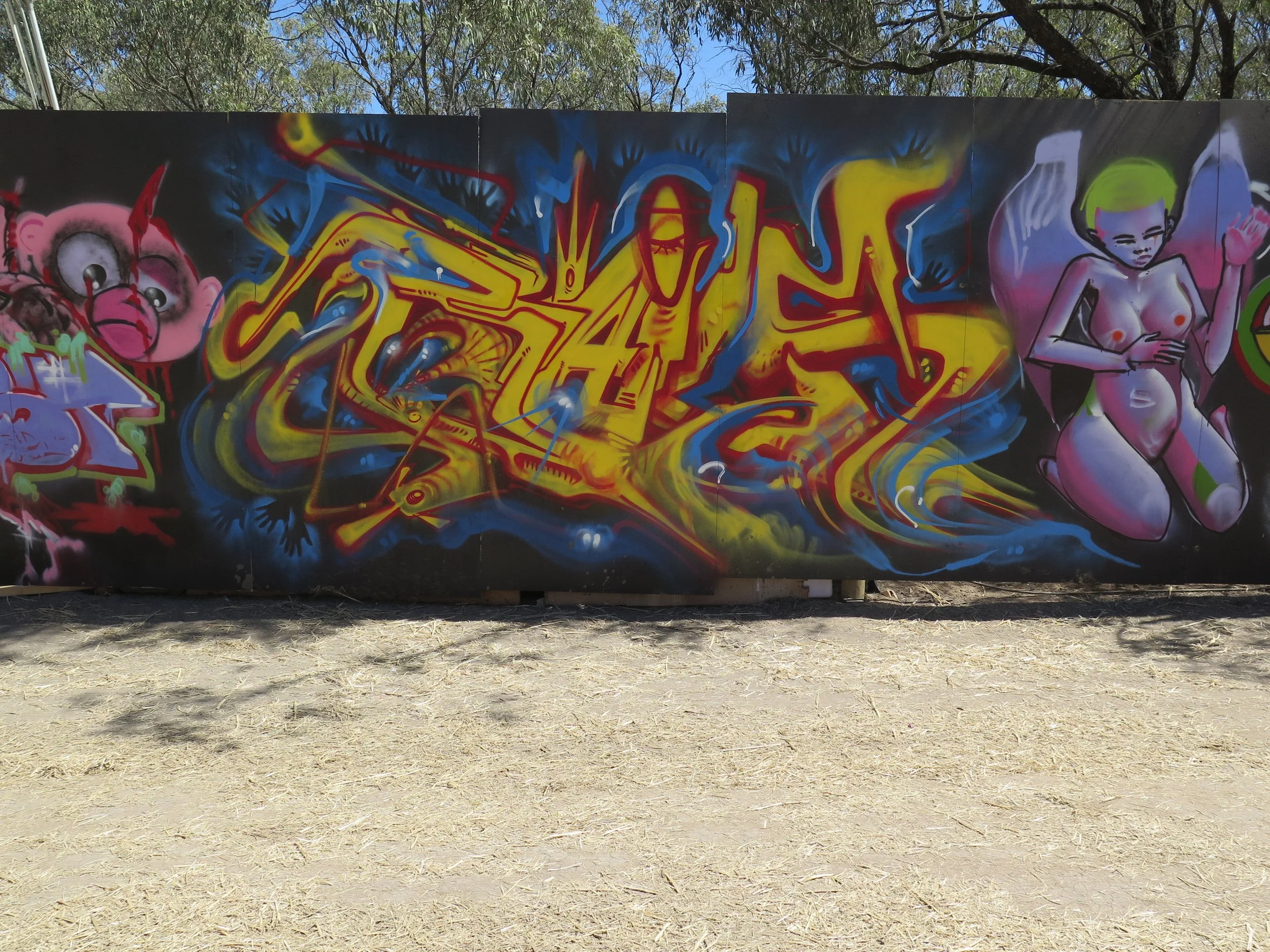 Bailer_MelbourneGraffitiArtist_MuralArt_Walls_EventsandFestivals_Matreiya_Graffiti2.JPG