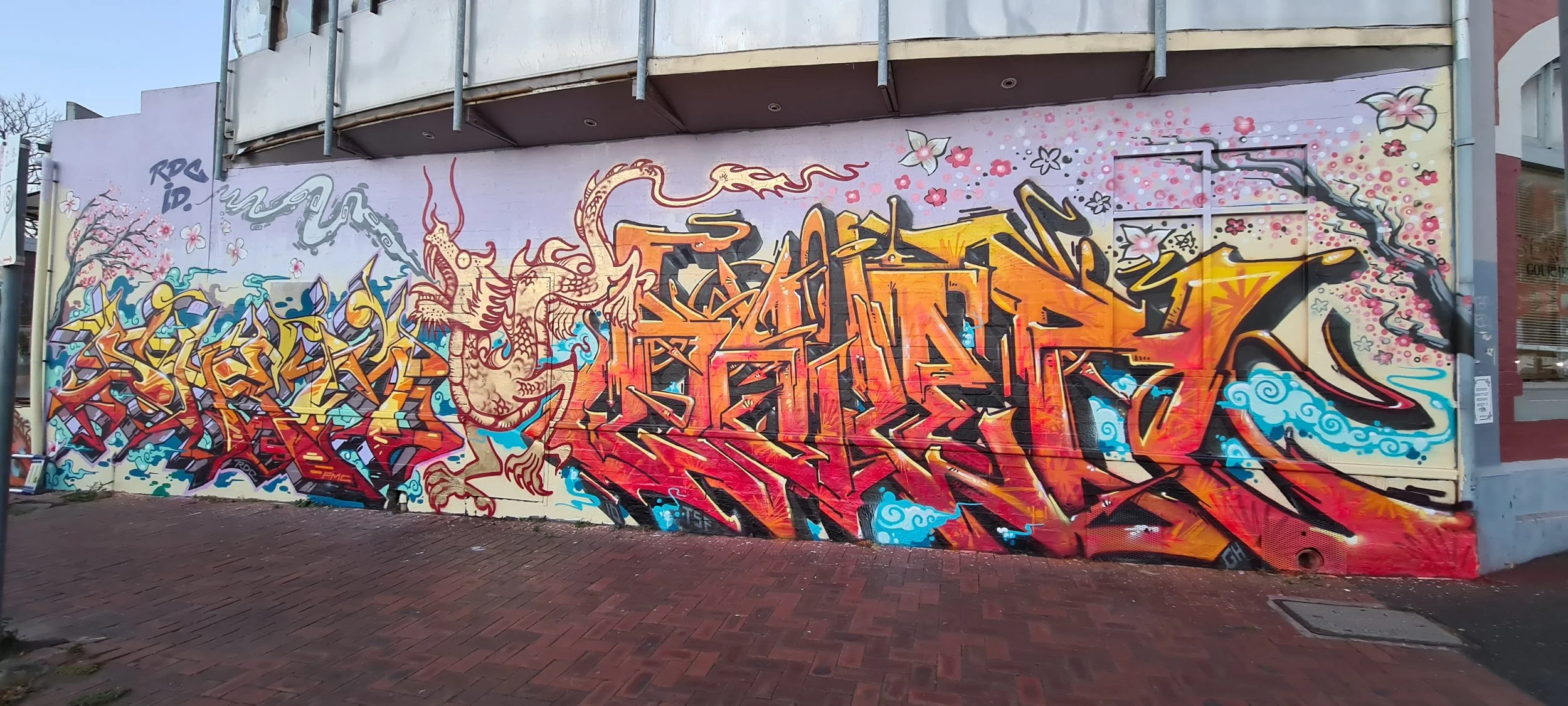 Bailer_MelbourneGraffitiArtist_GraffitiWalls43.jpg