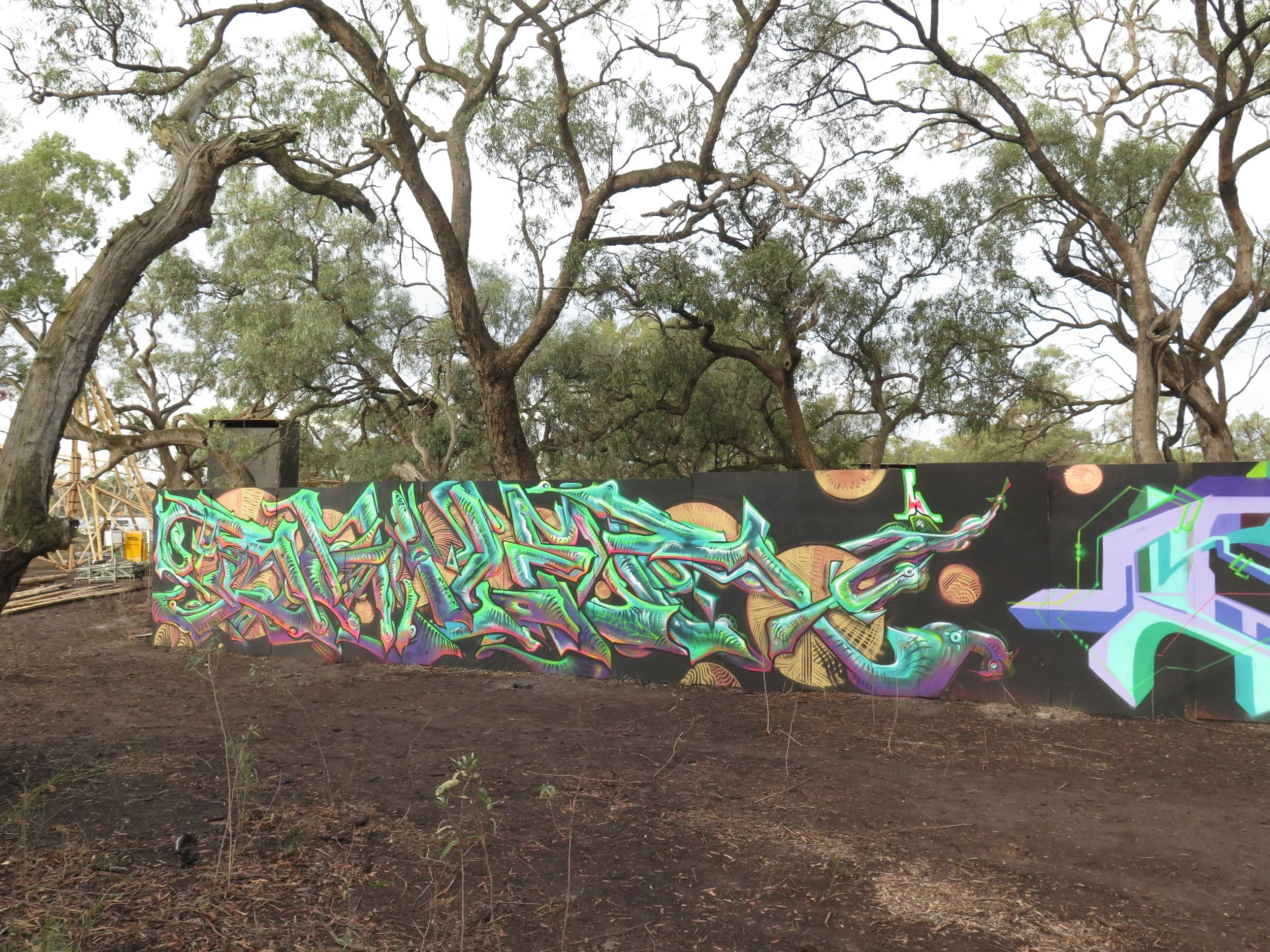 Bailer_MelbourneGraffitiArtist_MuralArt_Walls_EventsandFestivals_Matreiya_Graffiti.JPG