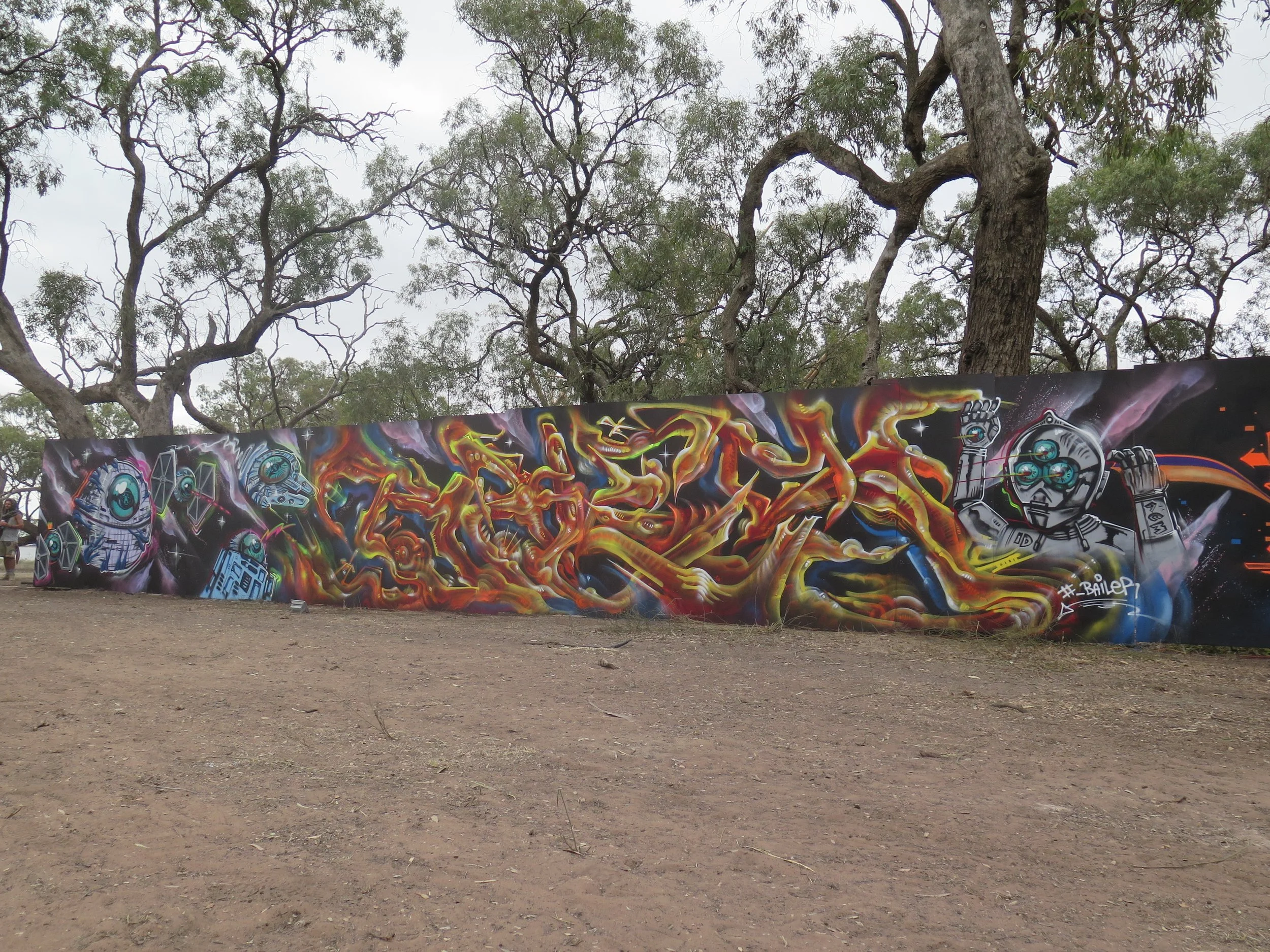 Bailer_MelbourneGraffitiArtist_MuralArt_Walls_EventsandFestivals_Matreiya_Graffiti1.JPG