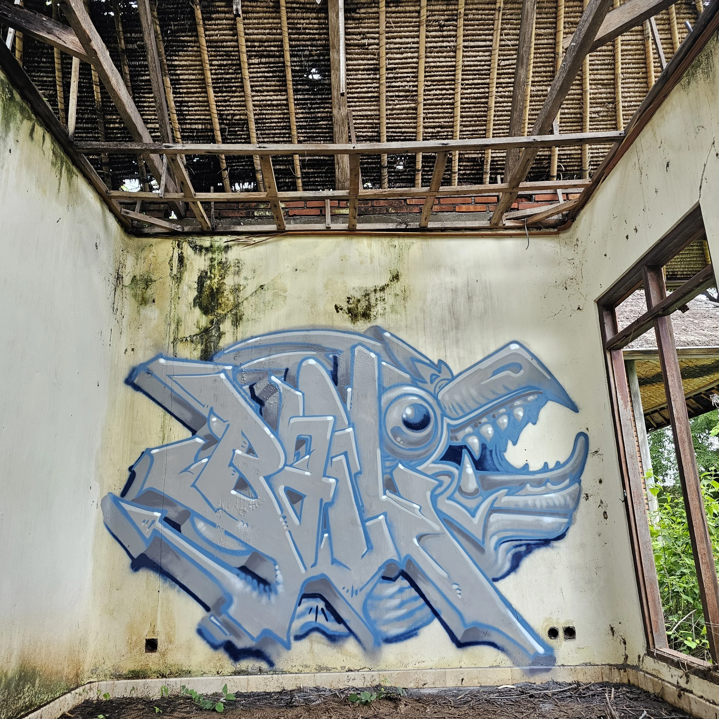 Bailer_MelbourneGraffitiArtist_GraffitiWalls48.jpg