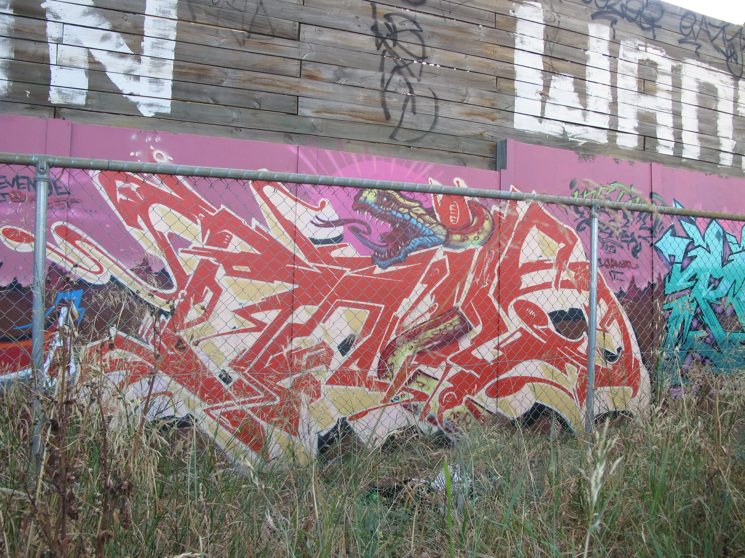 Bailer_MelbourneGraffitiArtist_GraffitiWalls30.jpg