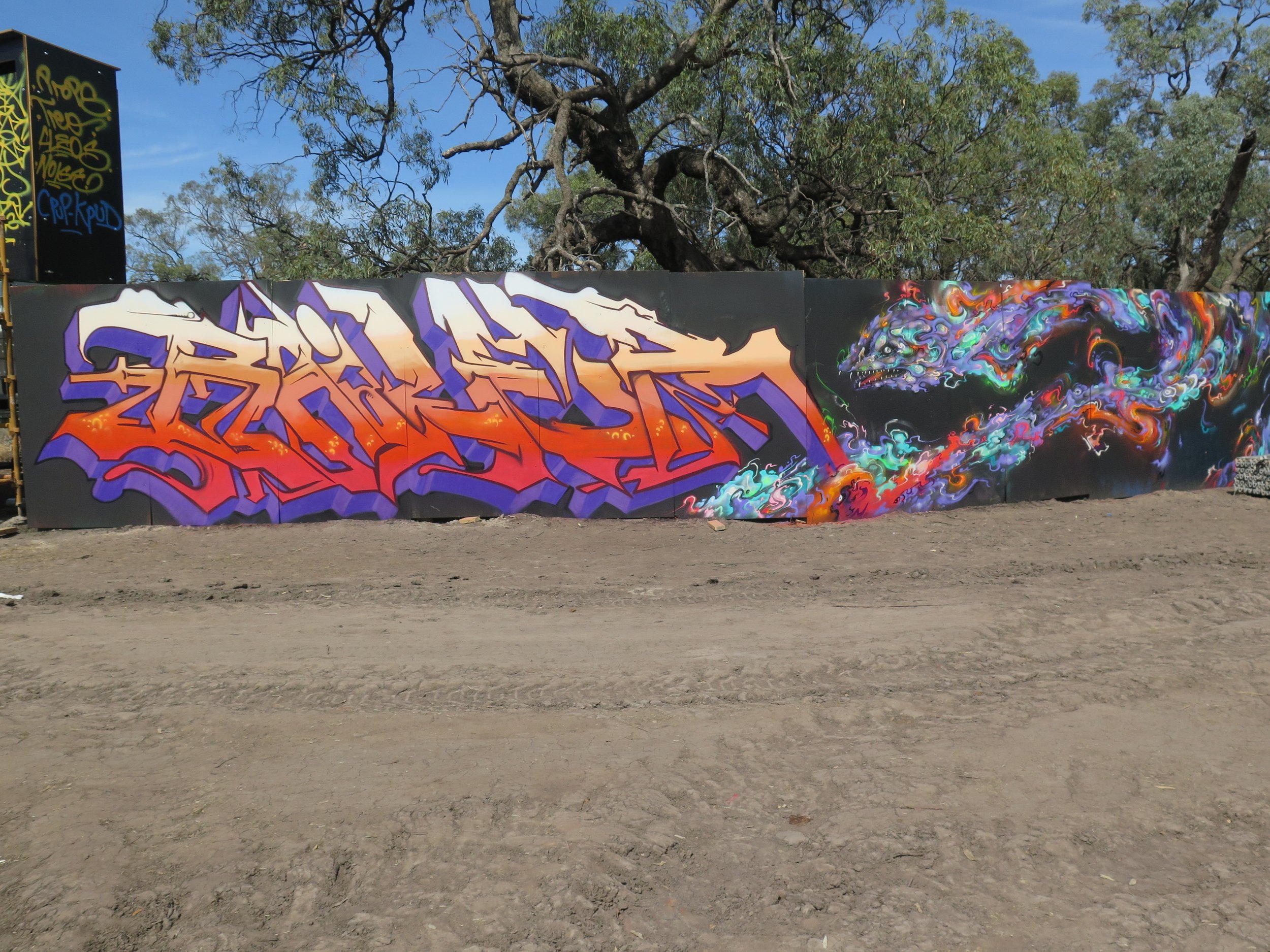Bailer_MelbourneGraffitiArtist_MuralArt_Walls_EventsandFestivals_Matreiya_Graffiti02.JPG