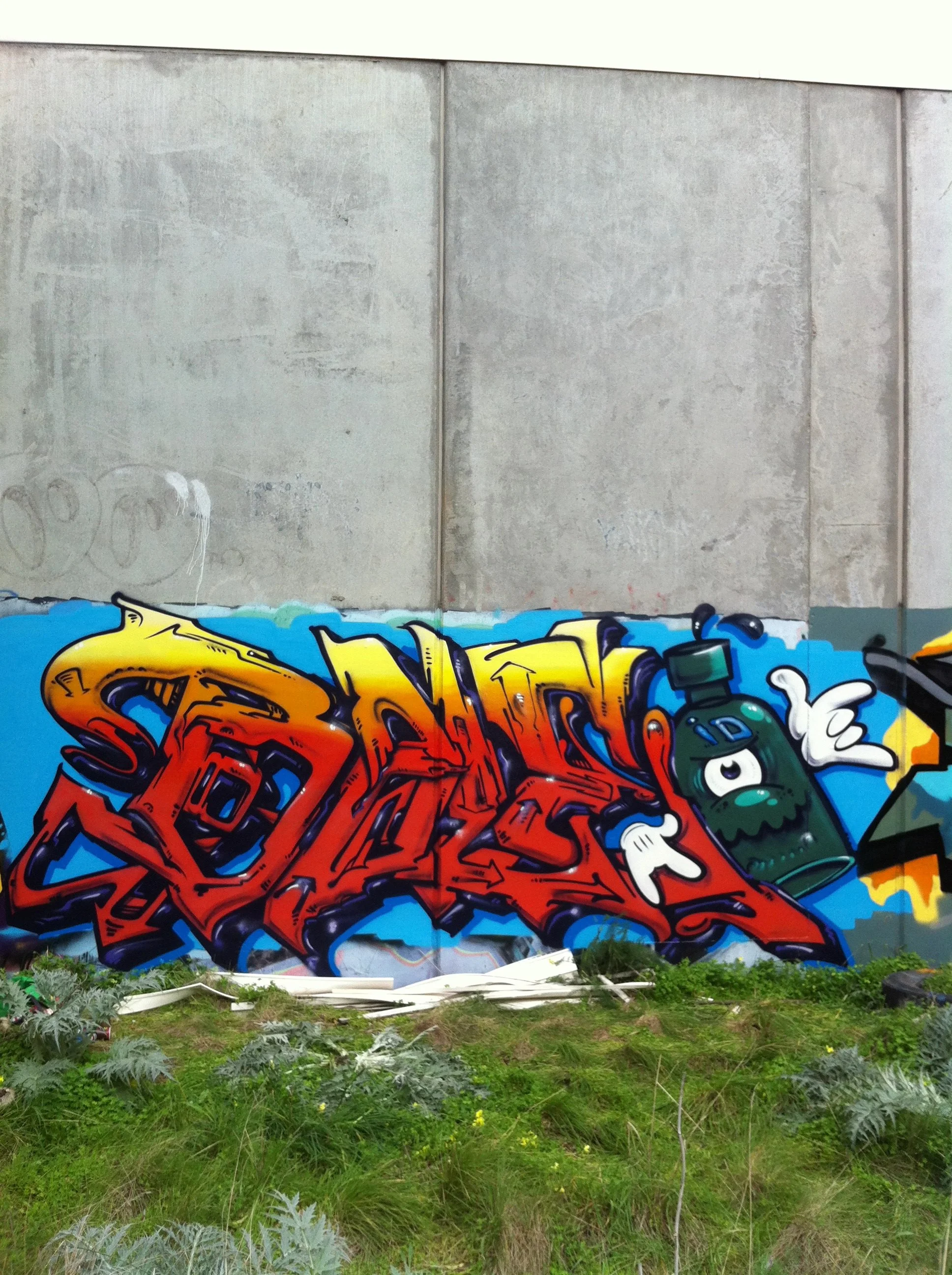 Bailer_MelbourneGraffitiArtist_GraffitiWalls70.JPG