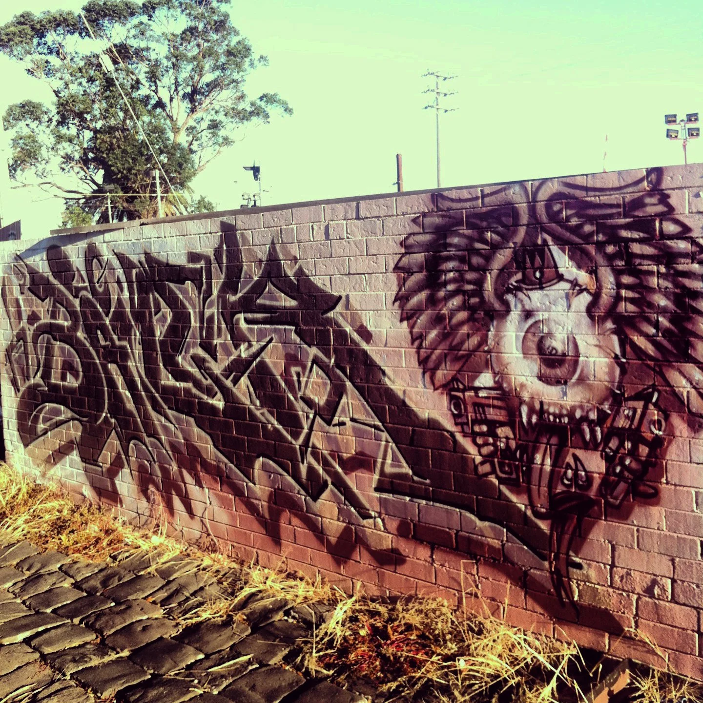 Bailer_MelbourneGraffitiArtist_GraffitiWalls34.jpg