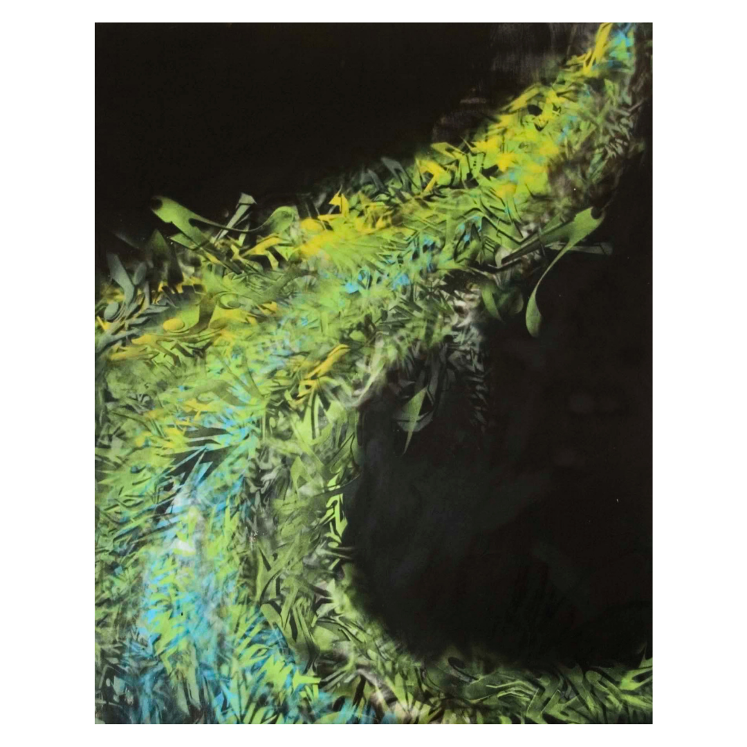 Group Exhibitions