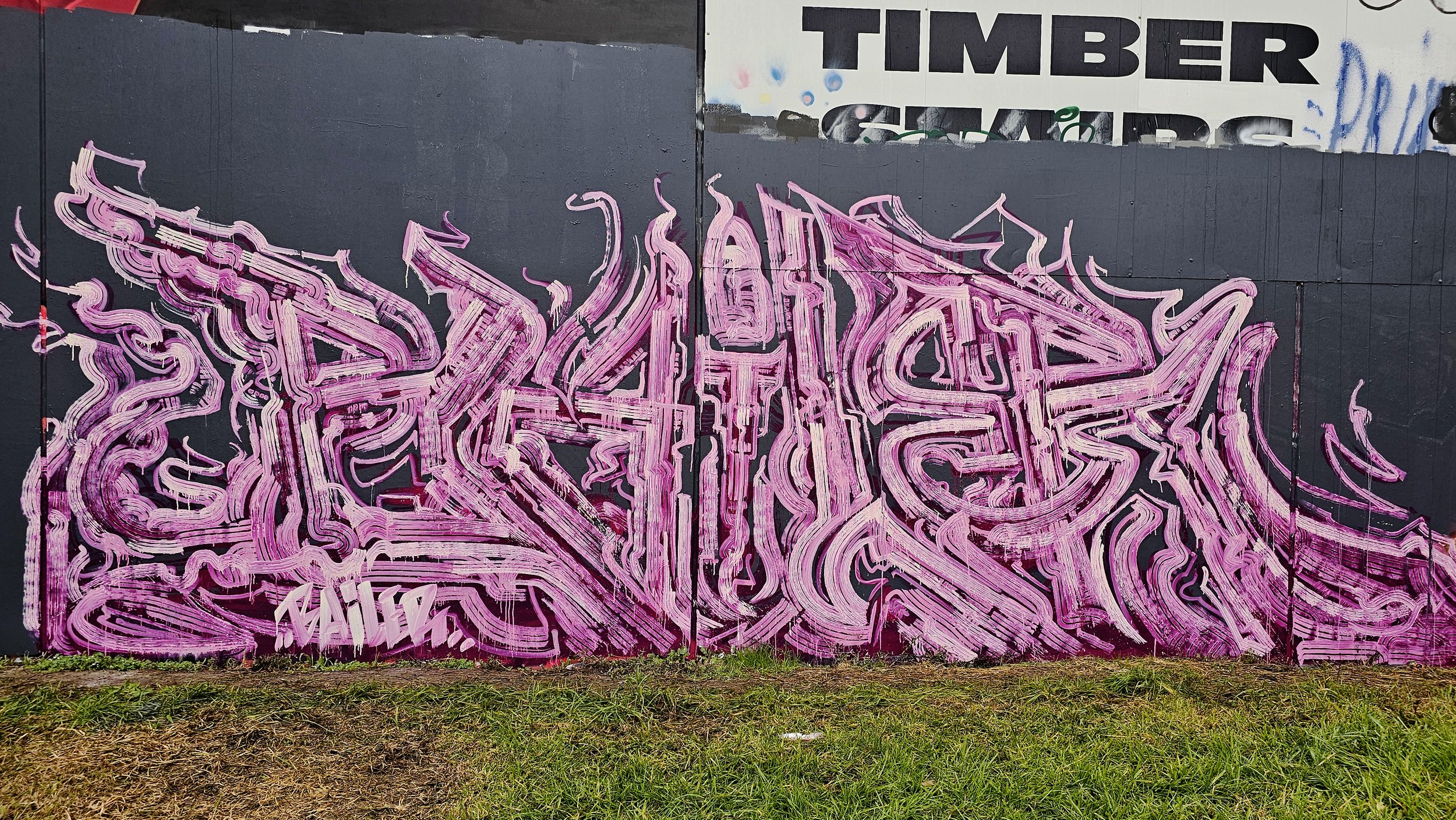 Bailer_MelbourneGraffitiArtist_MultiRollerStyleArtworks38.jpg