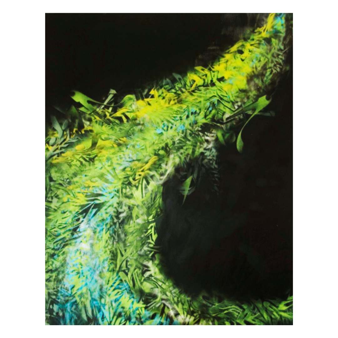 2012 - Bailer Melbourne Graffiti Artist - Commissioned artwork