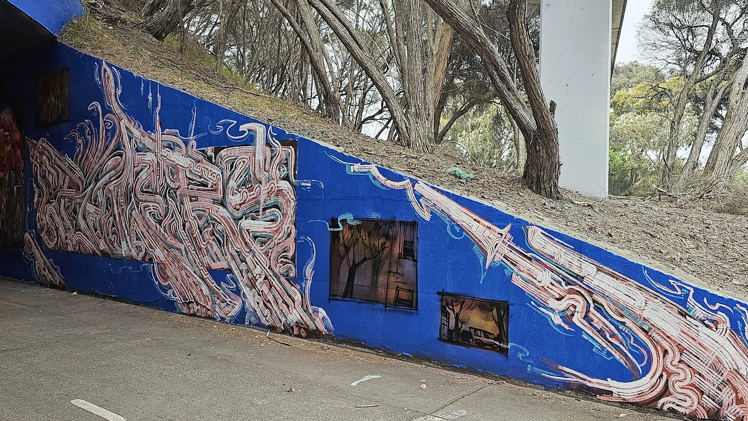 Layered Multiroller, Gardenvale: Gardenvale graffiti mural by Melbourne graffiti artist Bailer, featuring heavily layered Multiroller linework with a contrasting secondary colour.