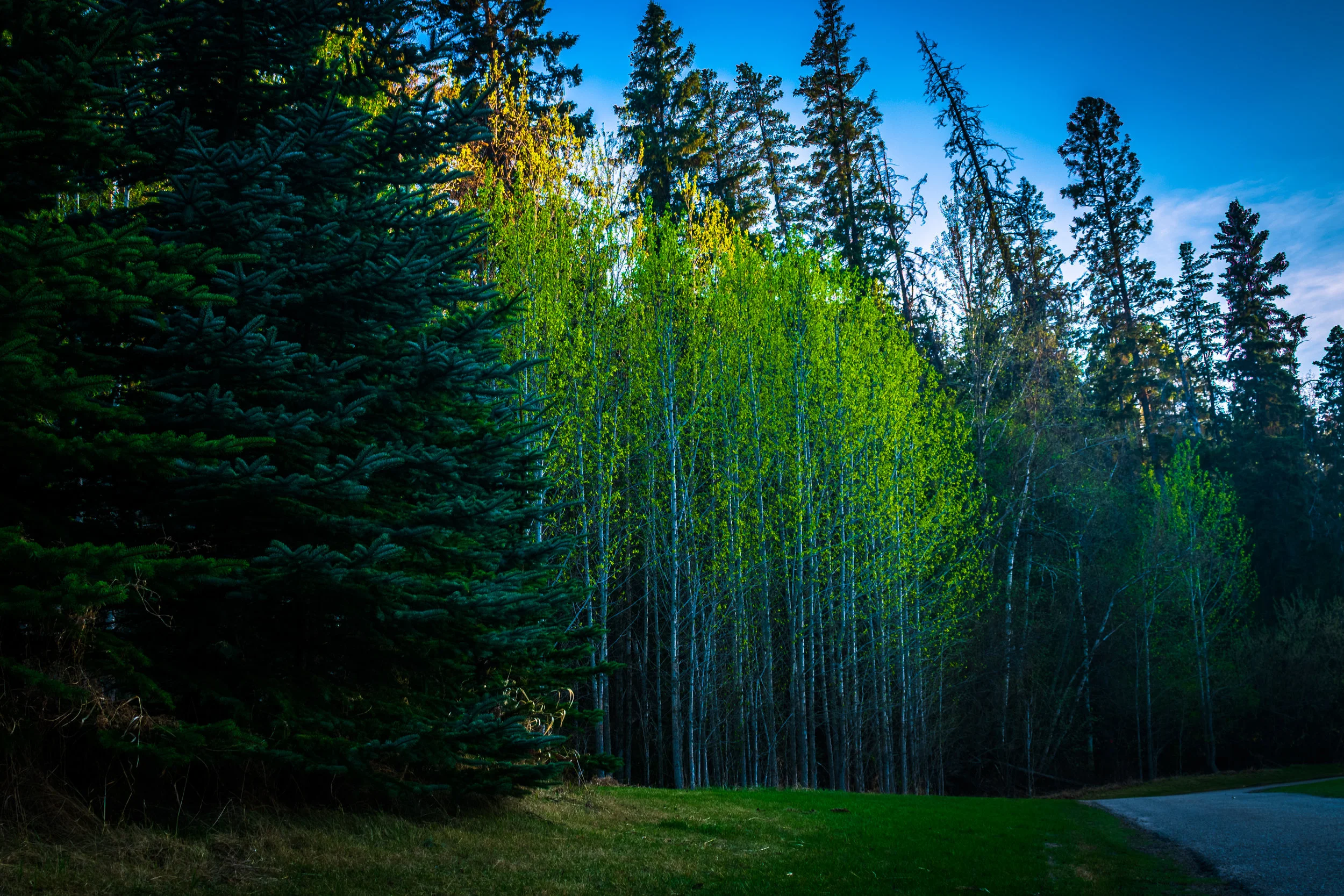 DSC_4400-HDR.jpg