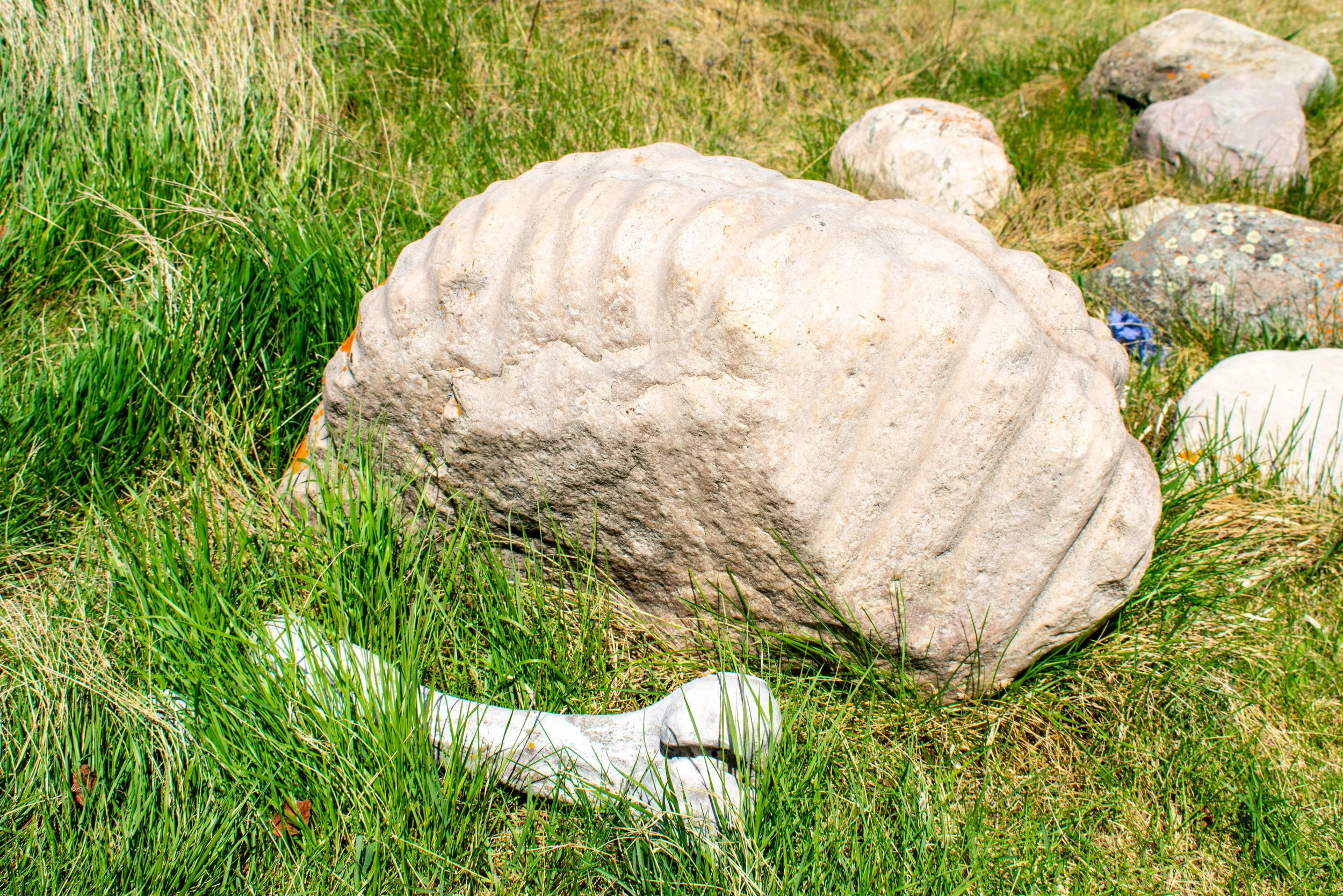 DSC_5616.jpg