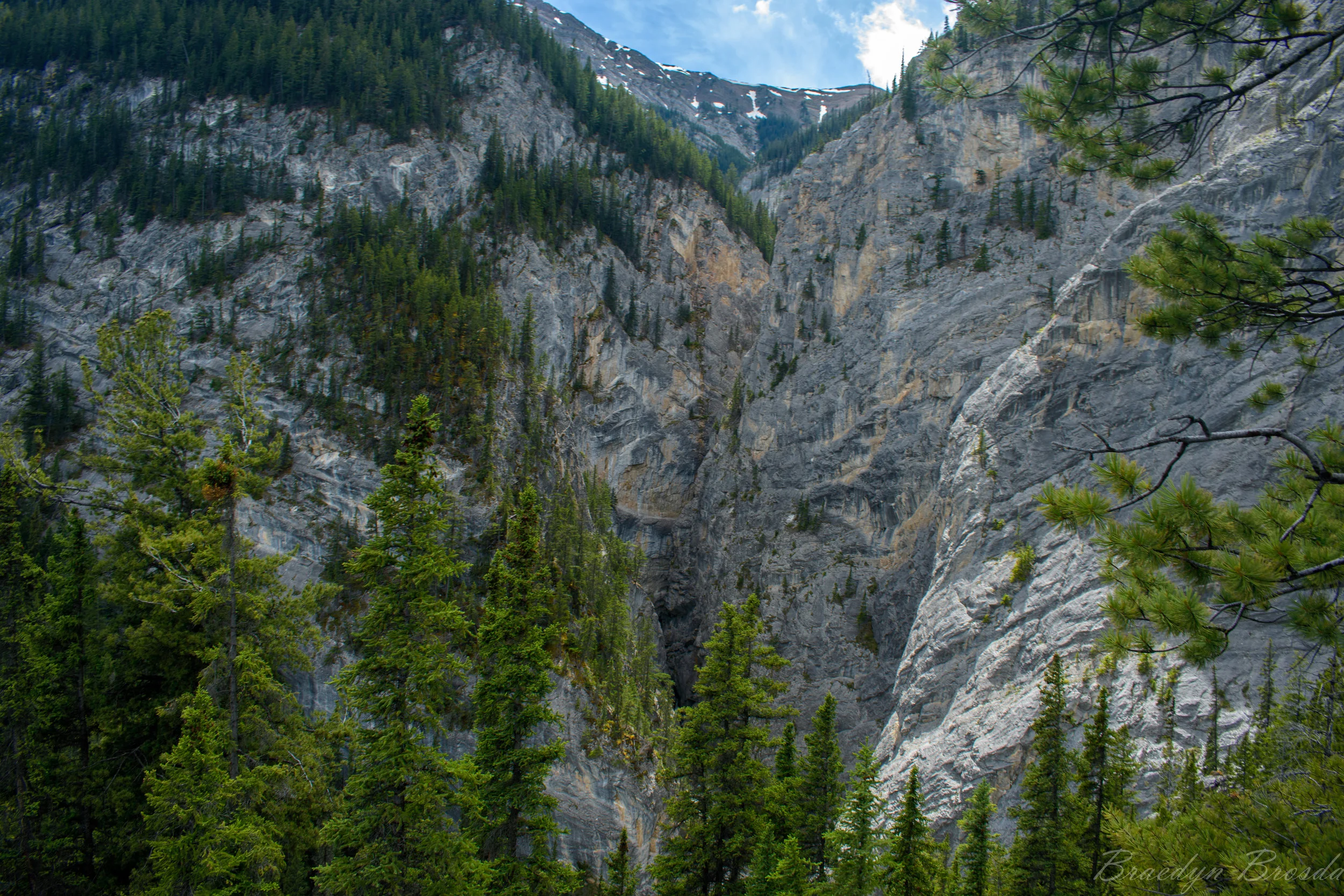 Looking into the canyon
