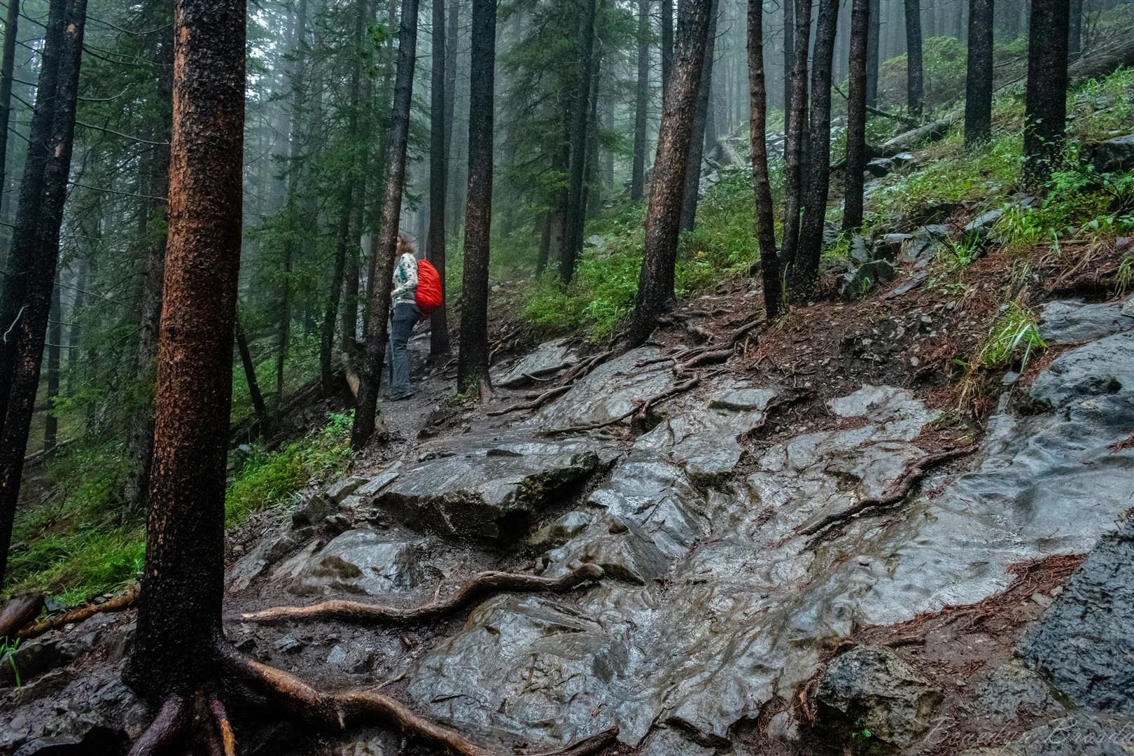 Further along this kind of slick rock became the whole trail