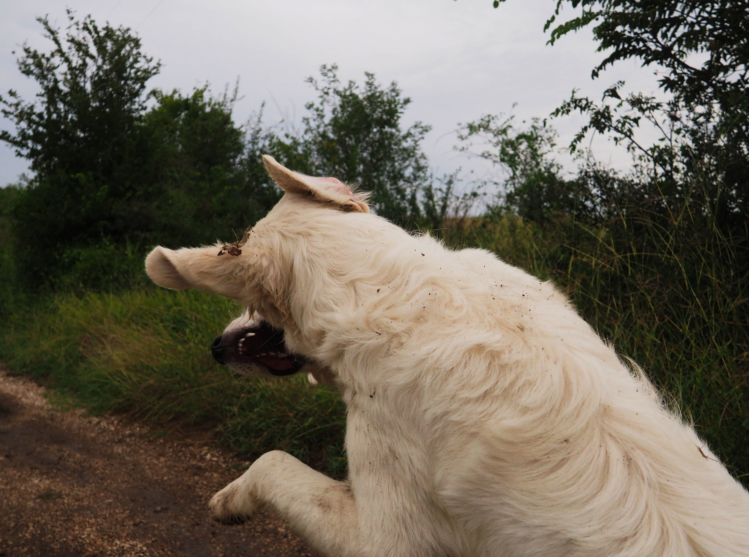 High Speed Assignment