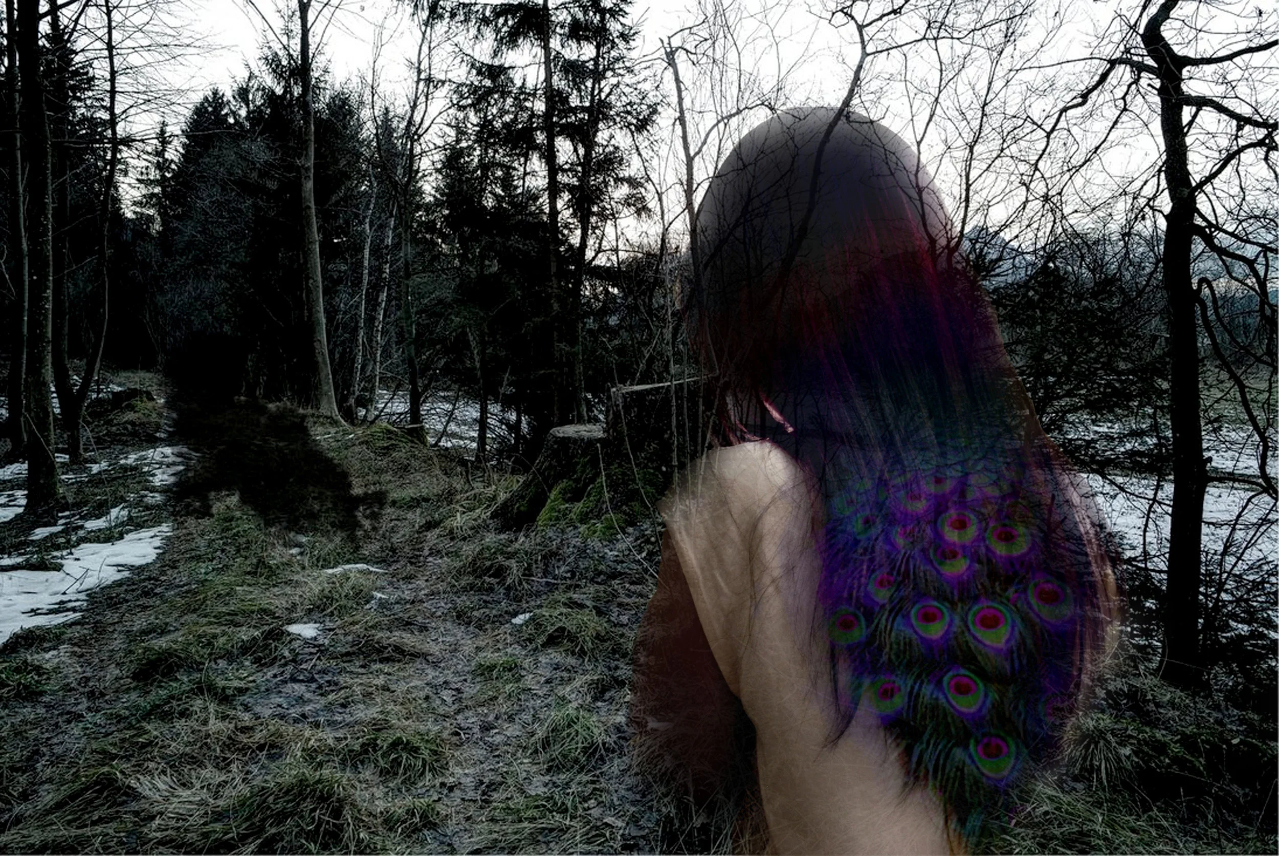  Art Photography II DVHS 