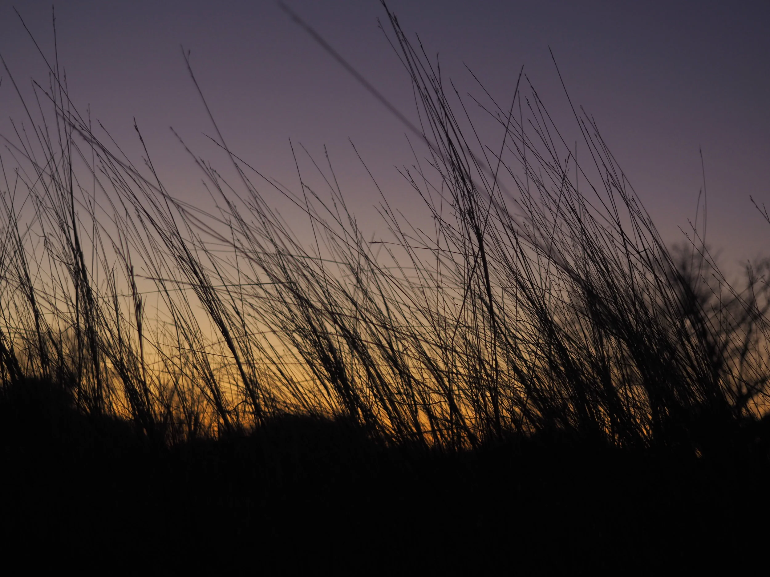  Art Photography III DVHS 