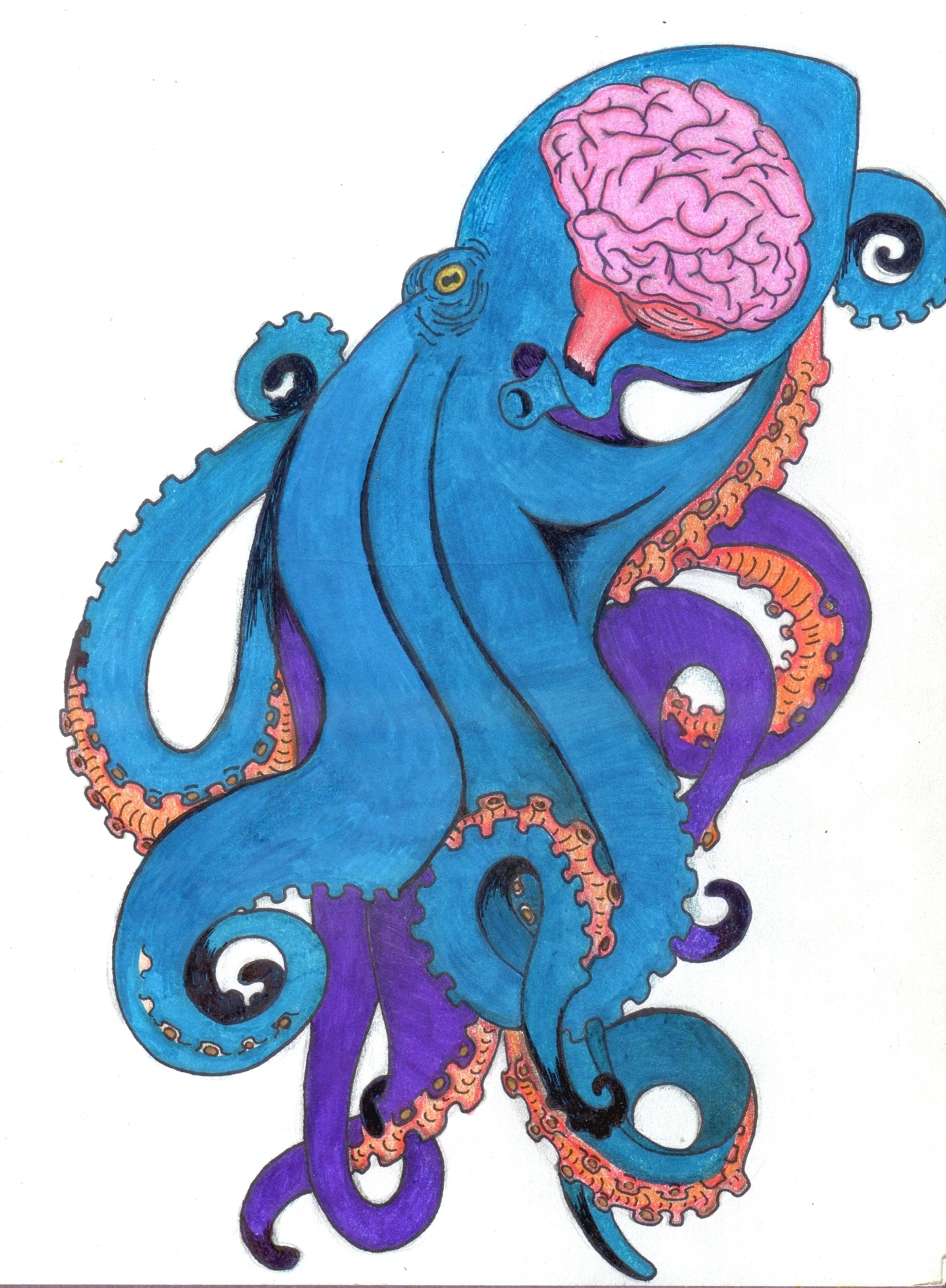 Illustration Challenge