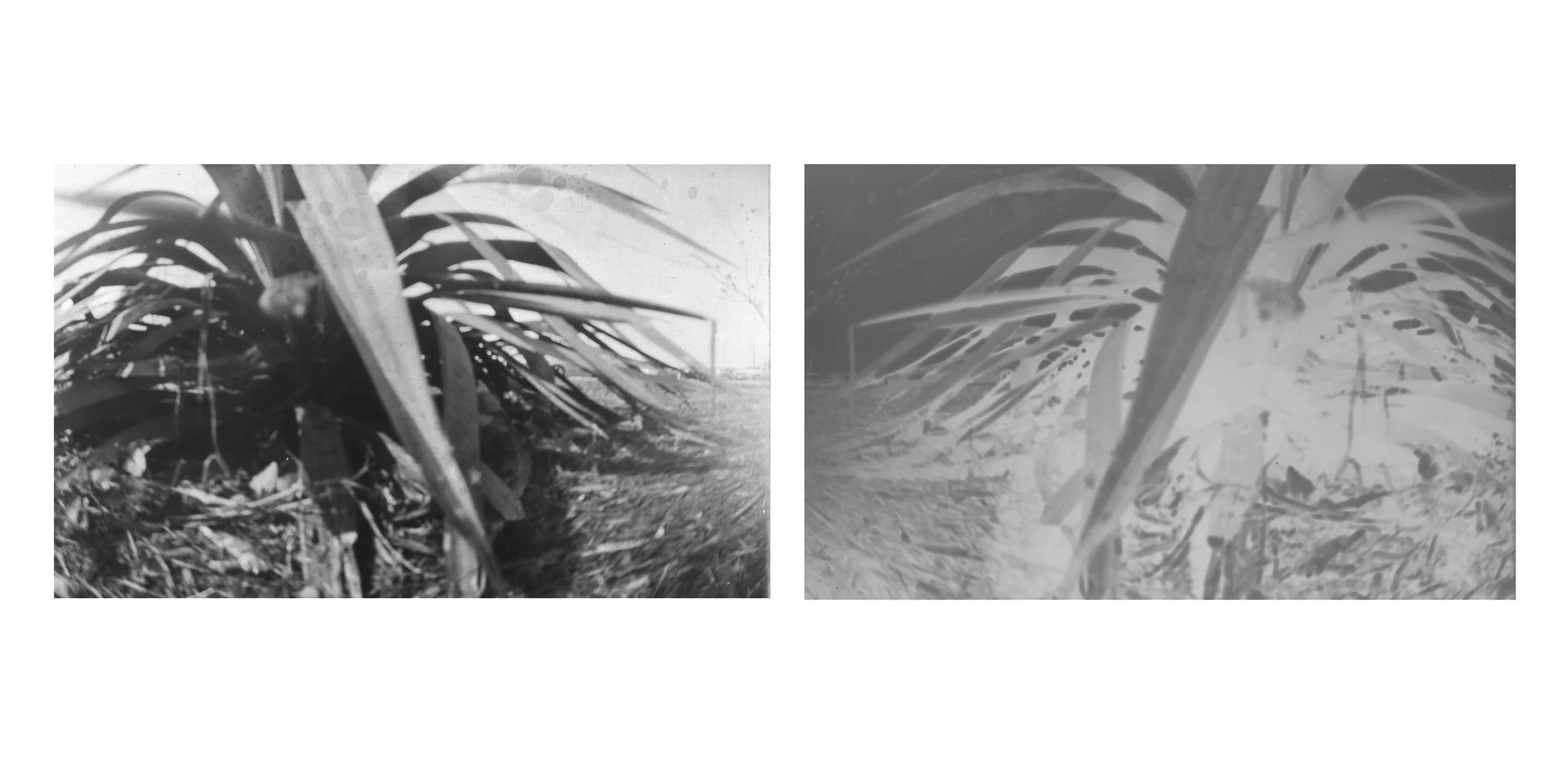 Pin Hole Negative and Positive