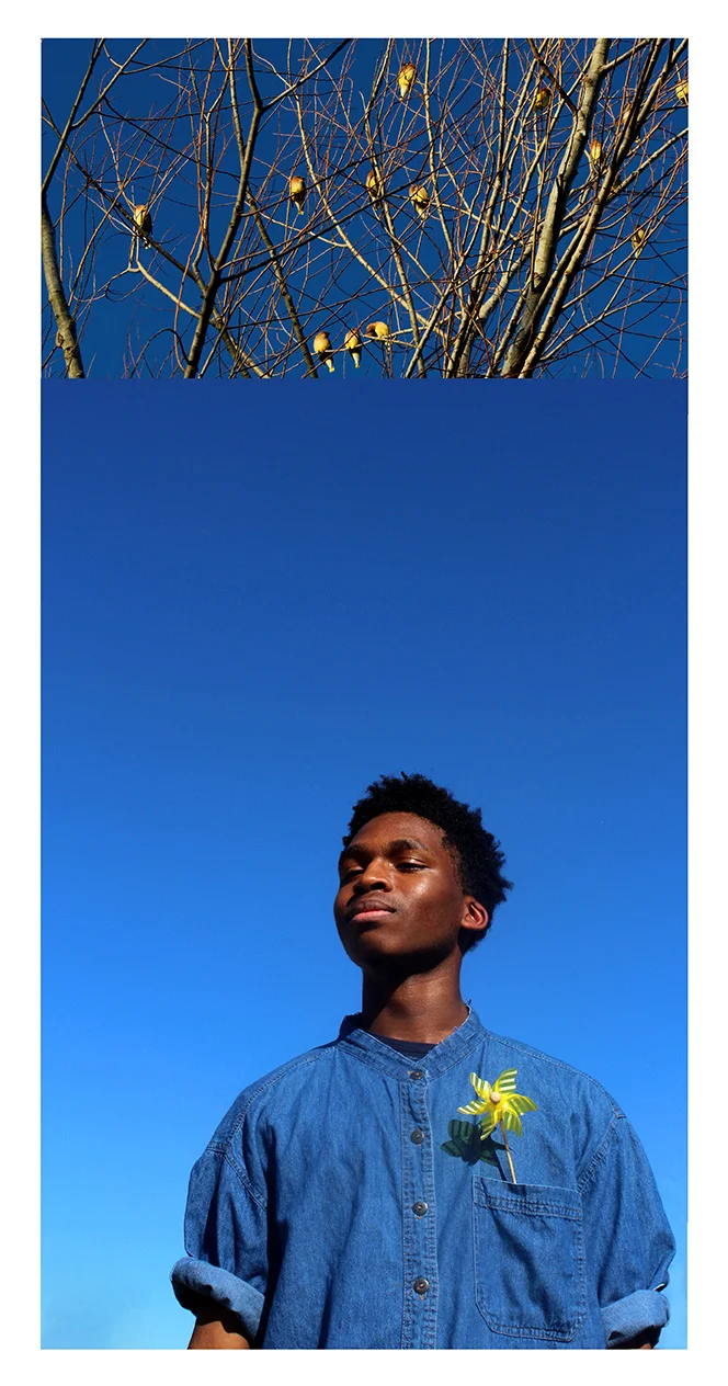 Photography III