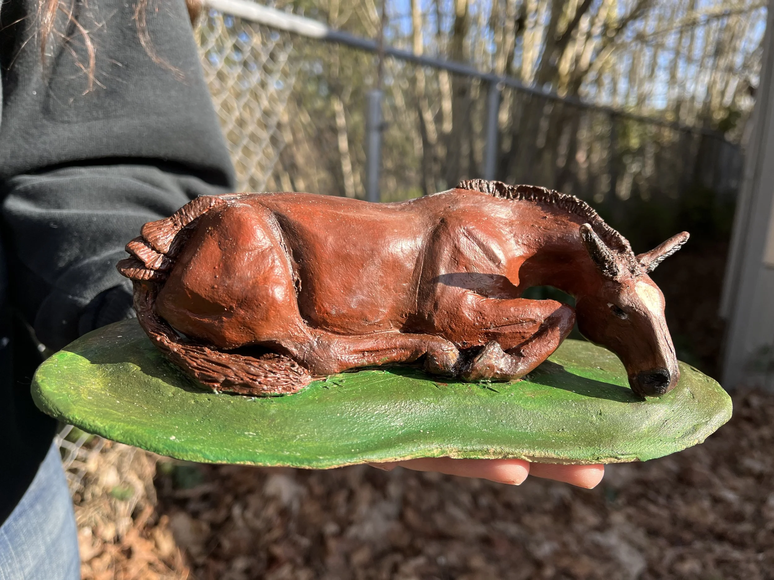 Advanced Ceramics