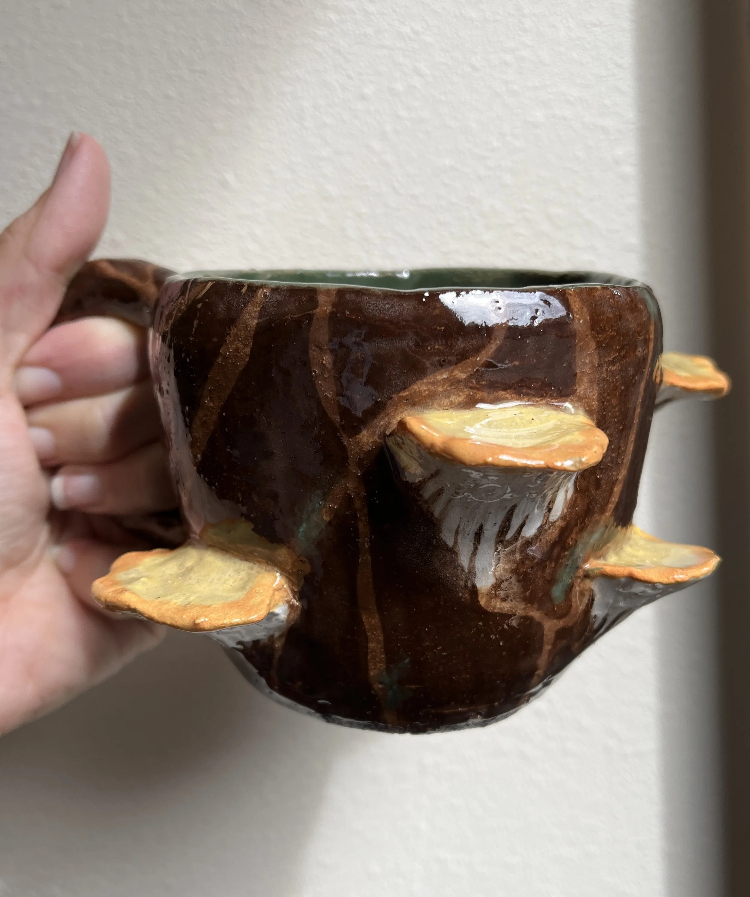 Intermediate Ceramics