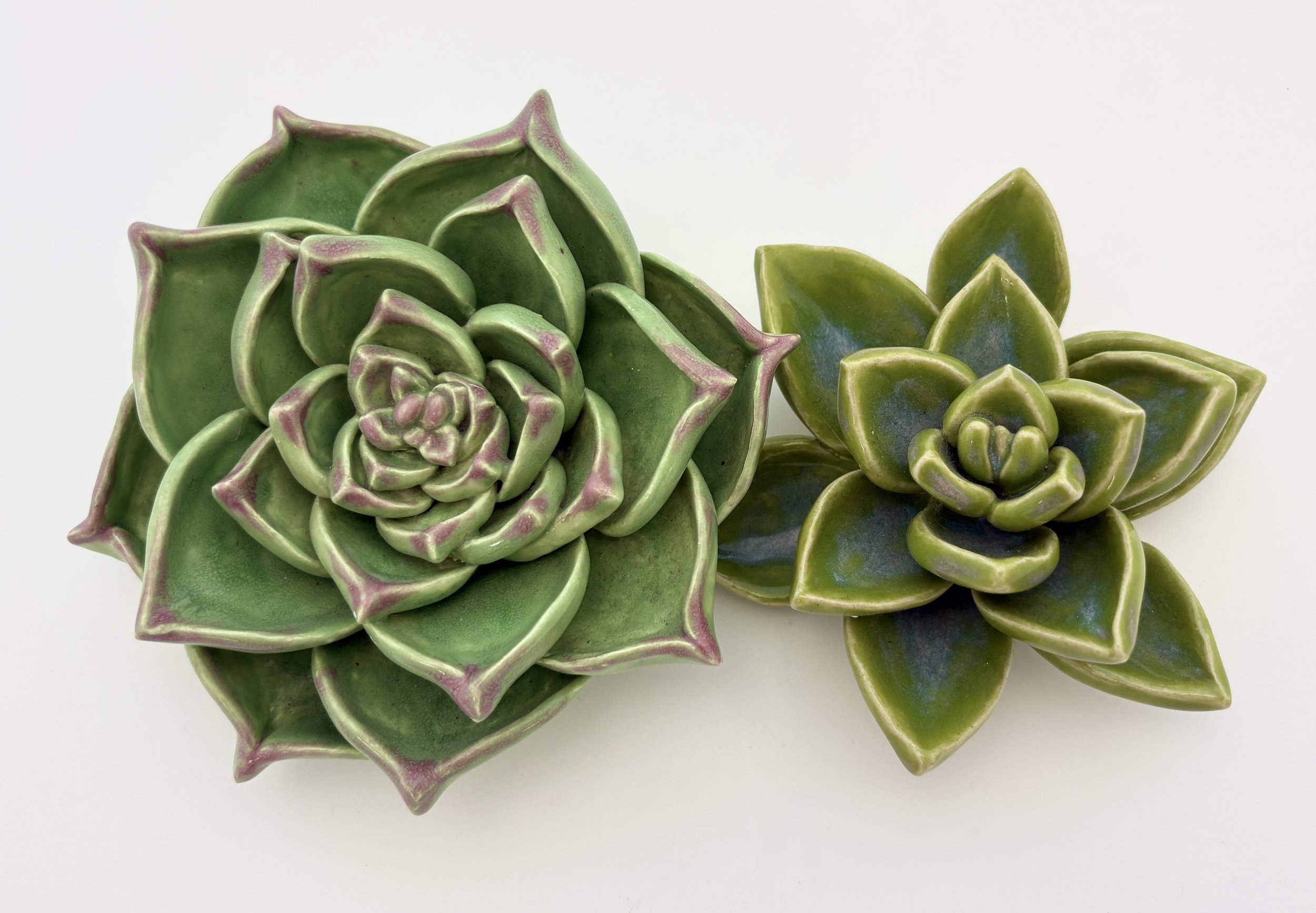 Sculpted Succulents