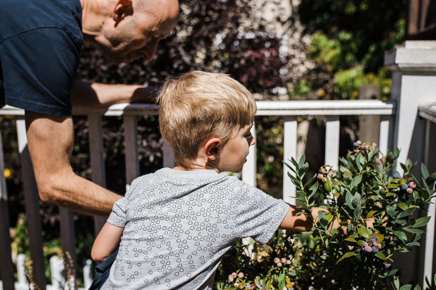 five year old boy gardening with his dad on the back porch {San Francisco in-home lifestyle Family Photographer}