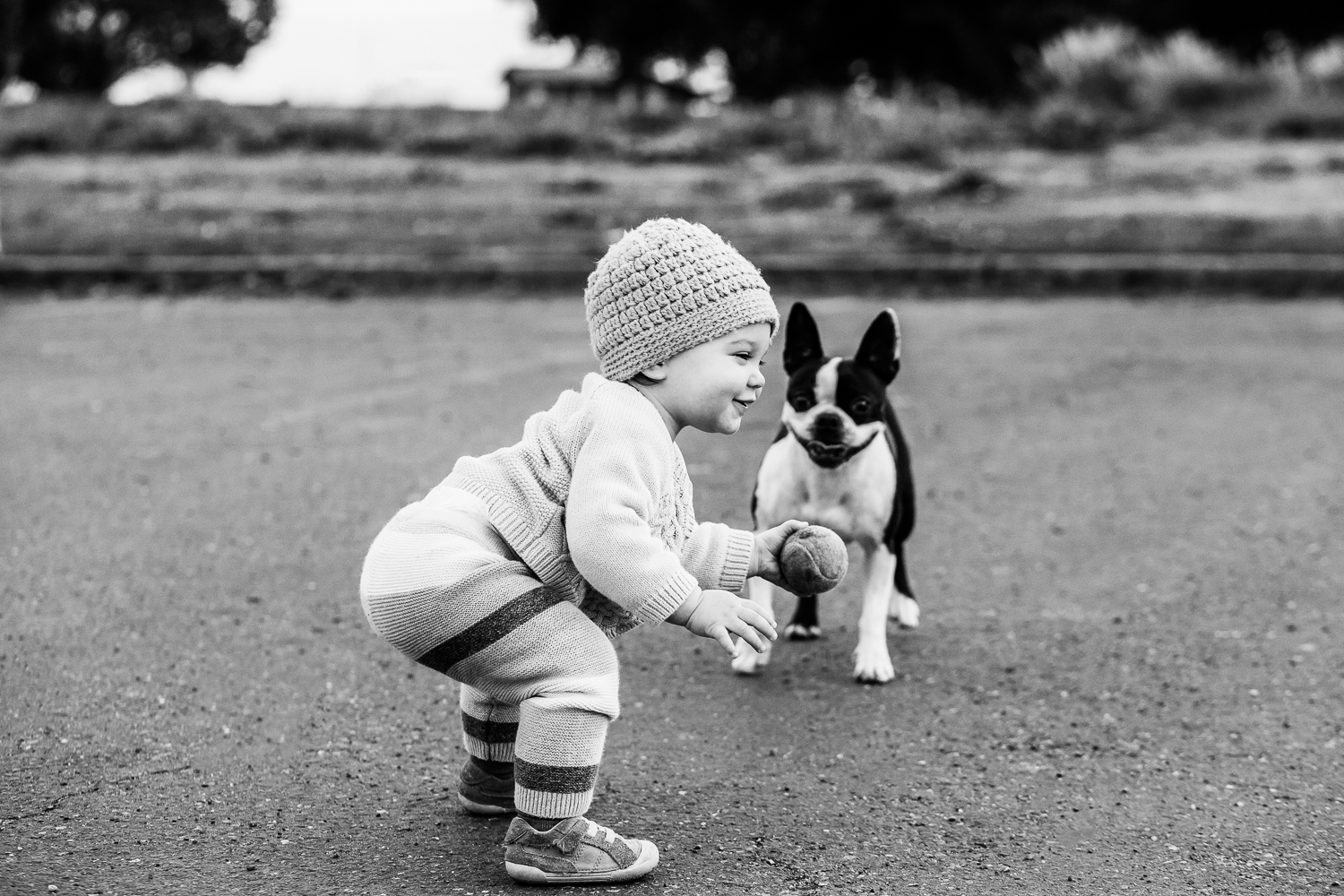 one year old baby girl squatting down and playing fetch with her dog {East Bay Family Photographer}