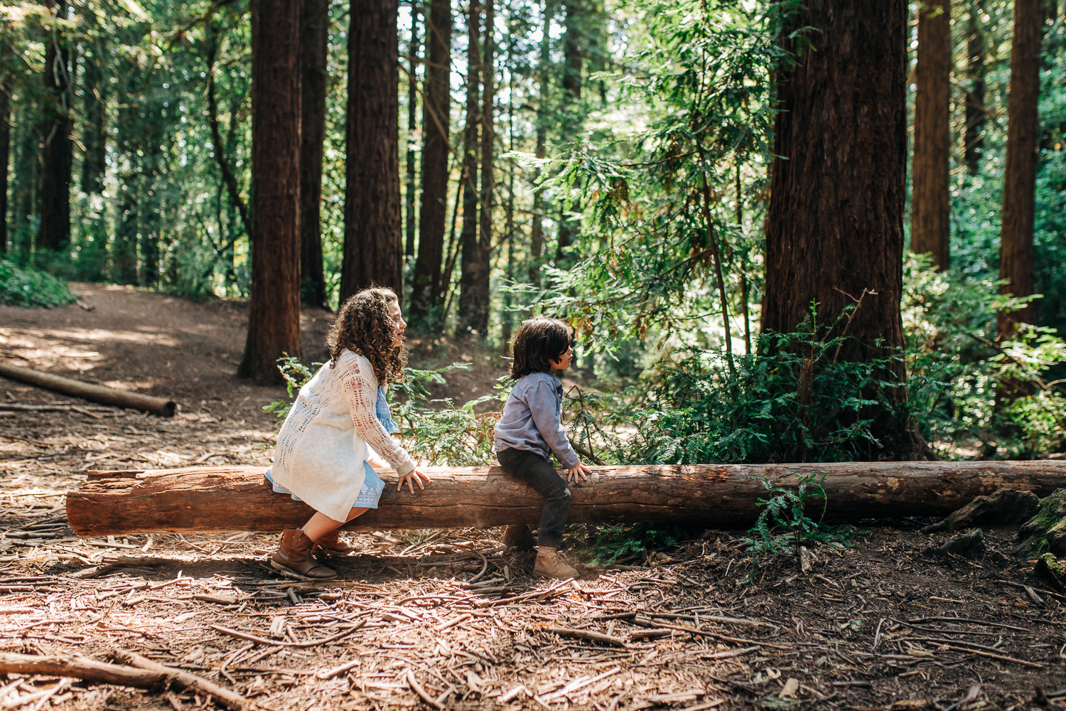 Two kids sitting on a natural log see-saw and playing {Oakland Family Photographer}