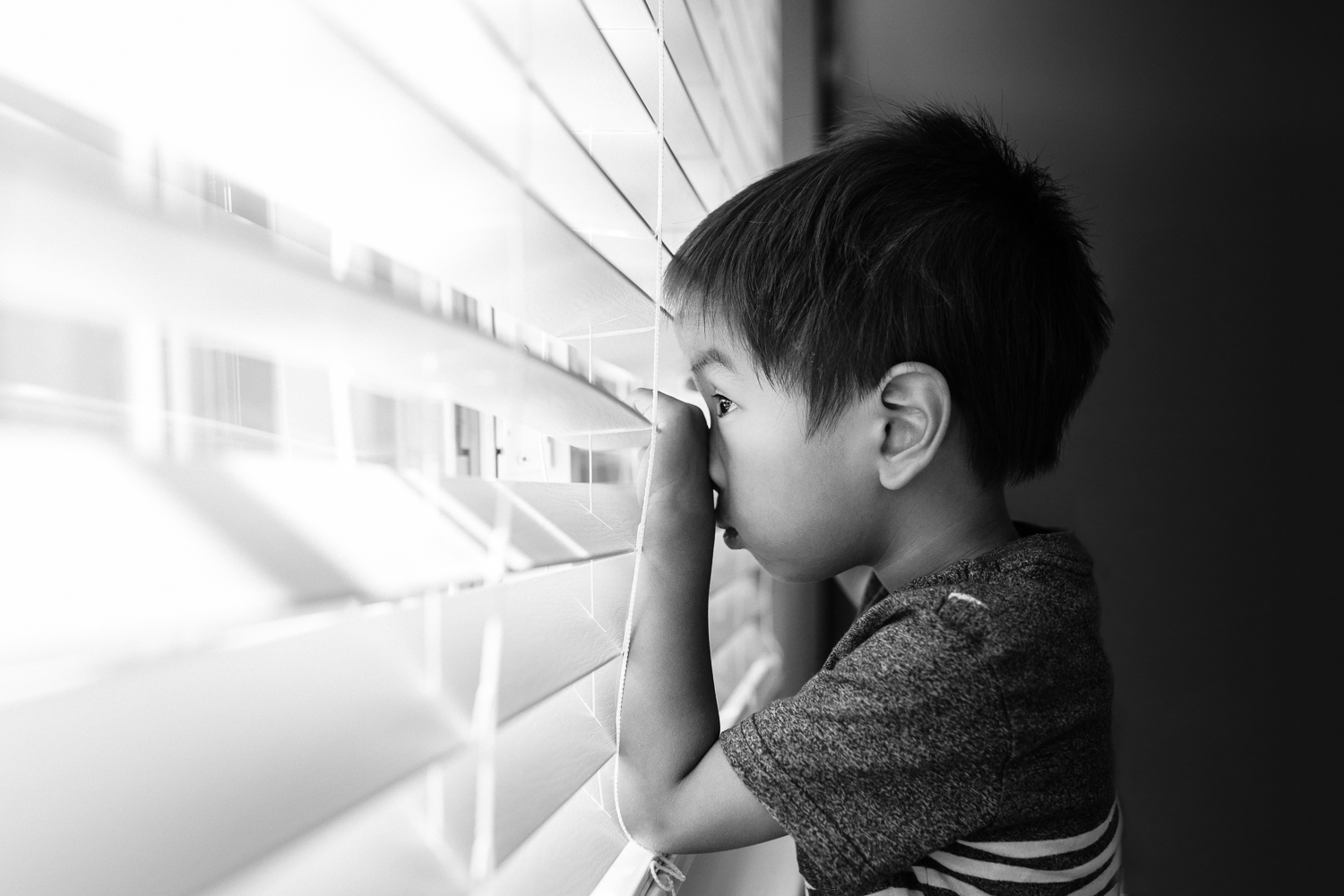 profile image of a little boy peaking out of a window through blinds | East Bay Lifestyle Family Photographer