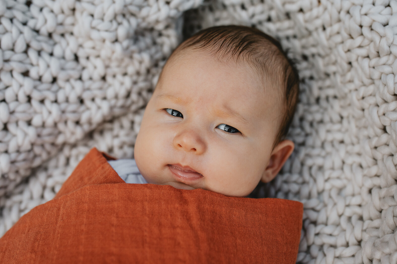 portrait of a baby boy swaddled and looking at camera - East Bay Newborn Photographer
