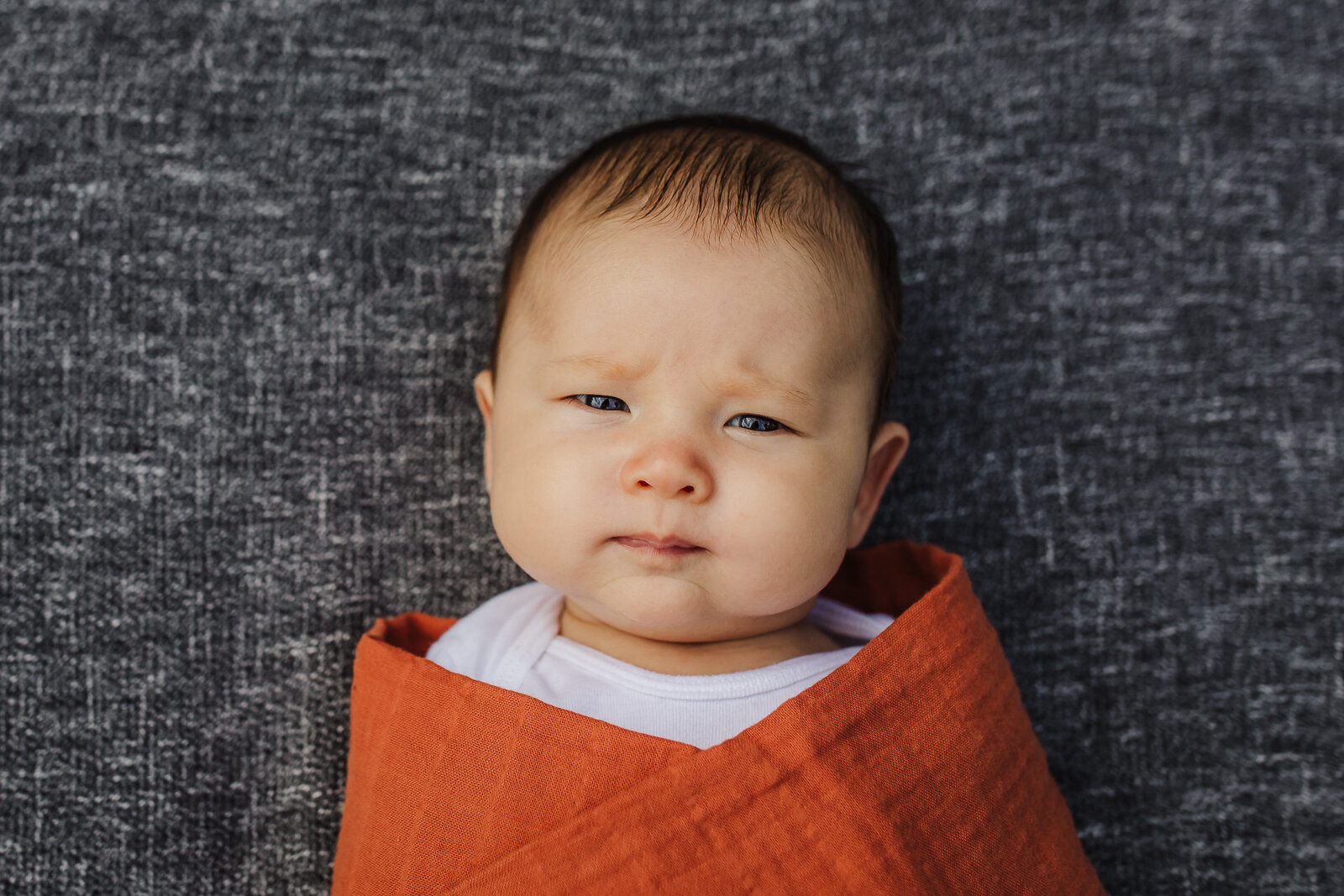 portrait of a newborn swaddled and looking at camera - Oakland Newborn Photographer