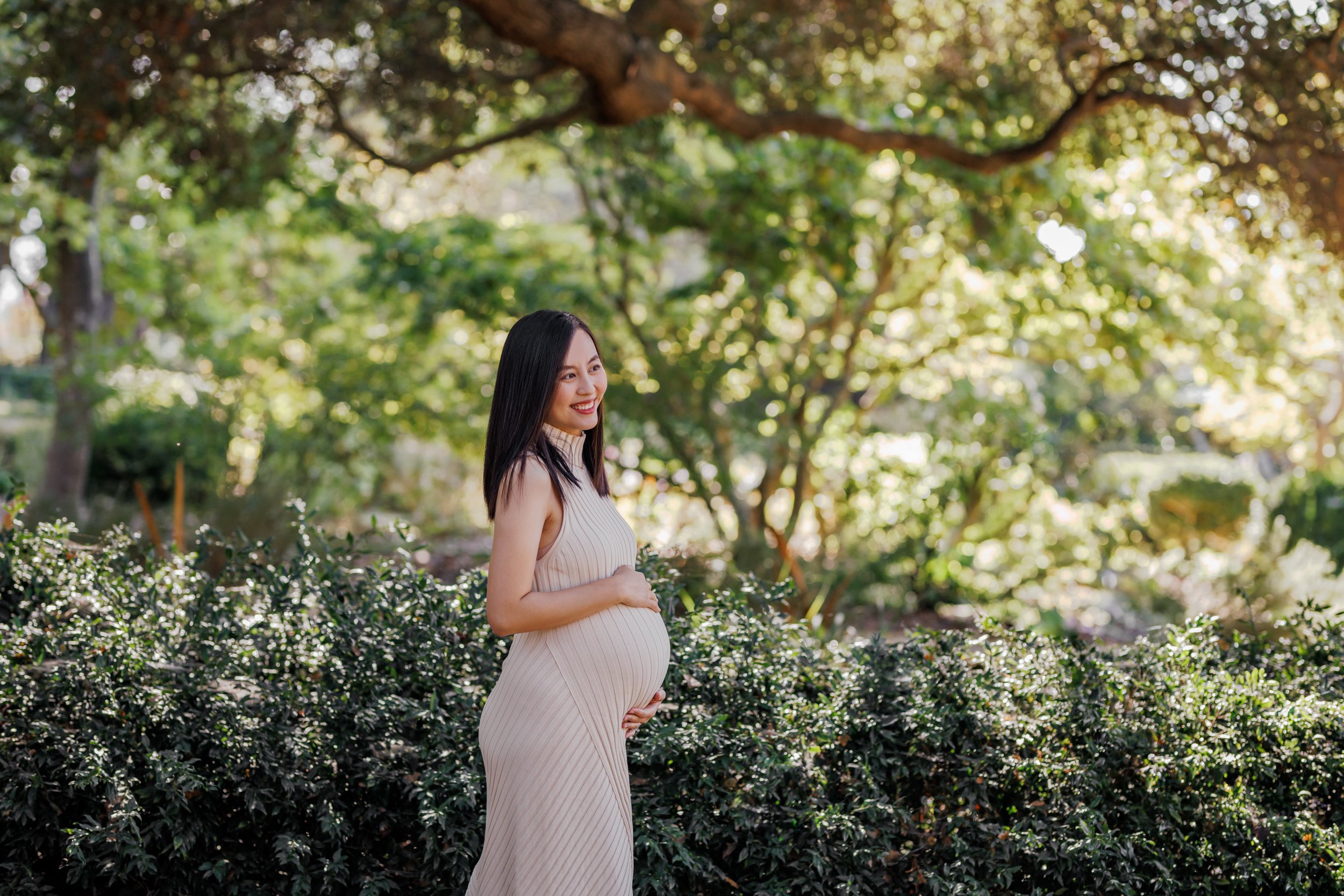 alameda maternity photographer