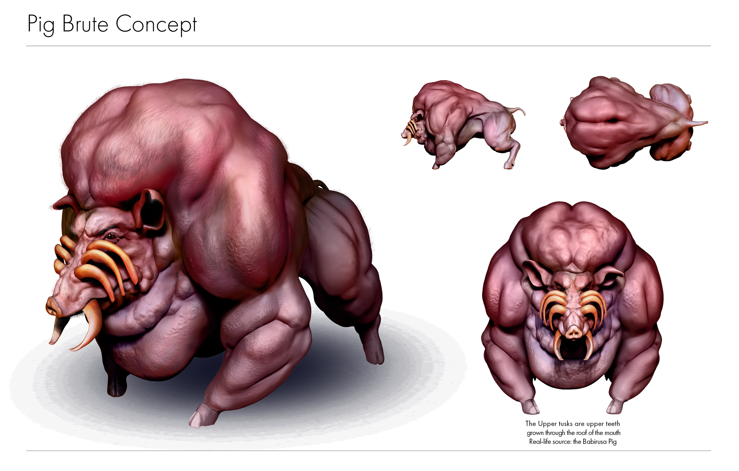 Pig_Final.png
