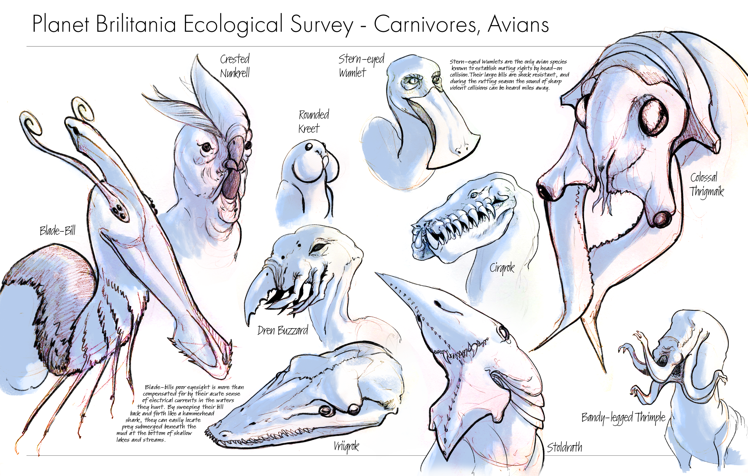 Ecological Survey2.png