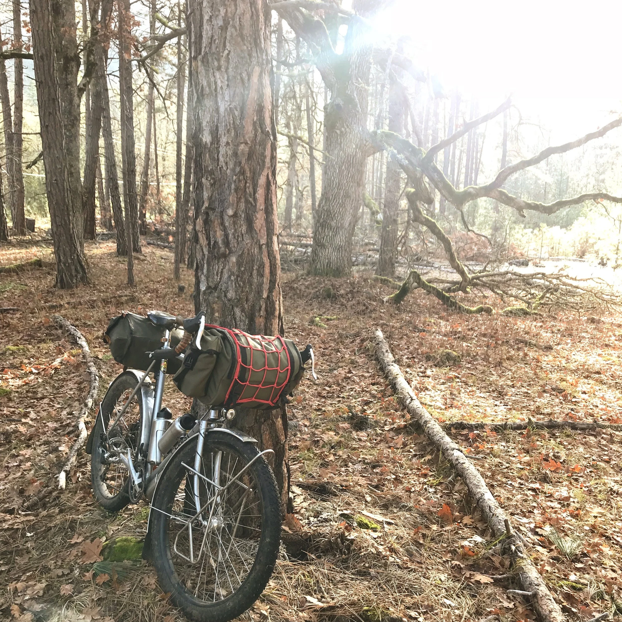 golden pliers bike shop