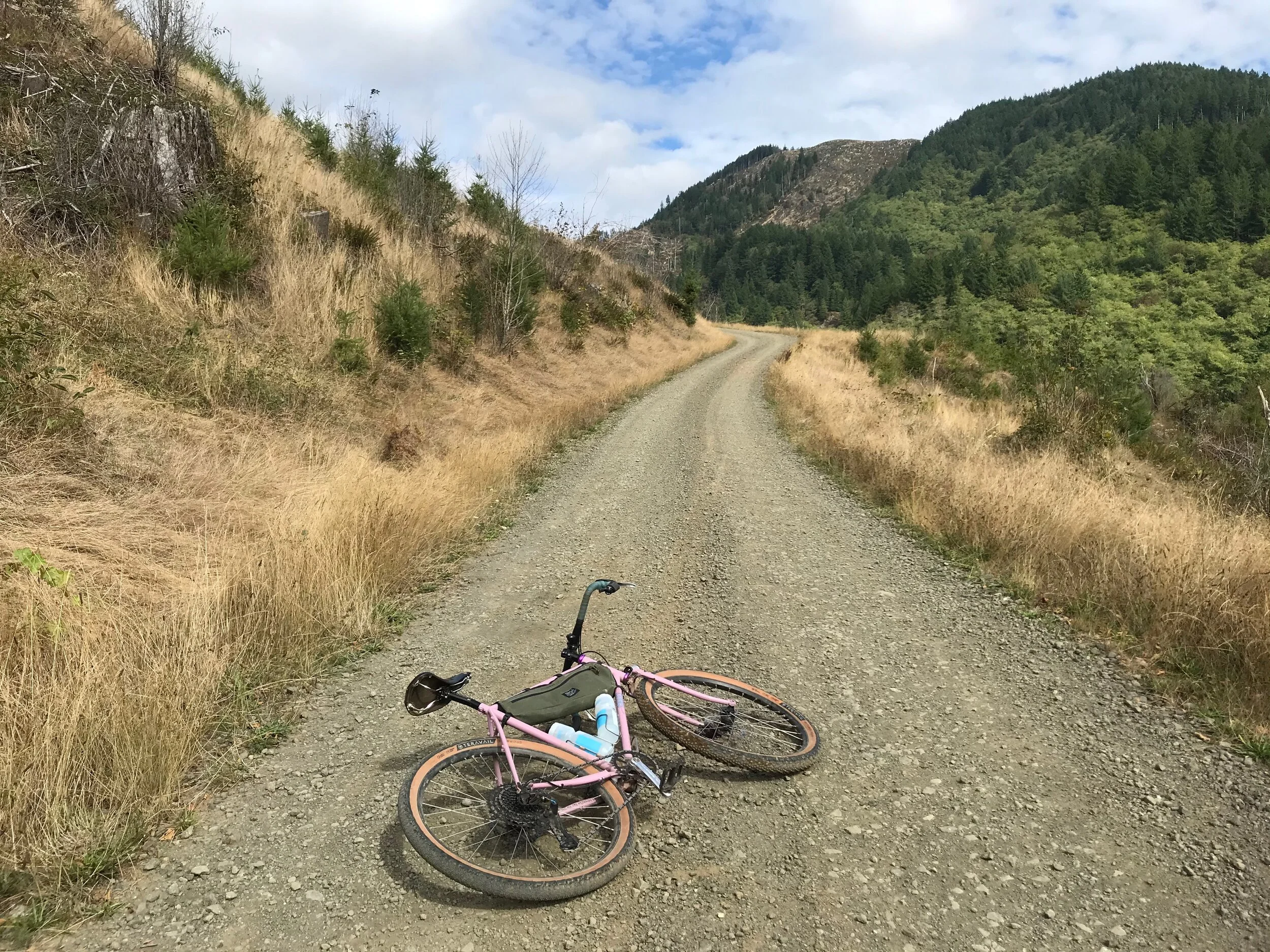 golden pliers bike shop