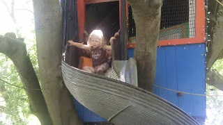 1c8df-116_0782.jpg