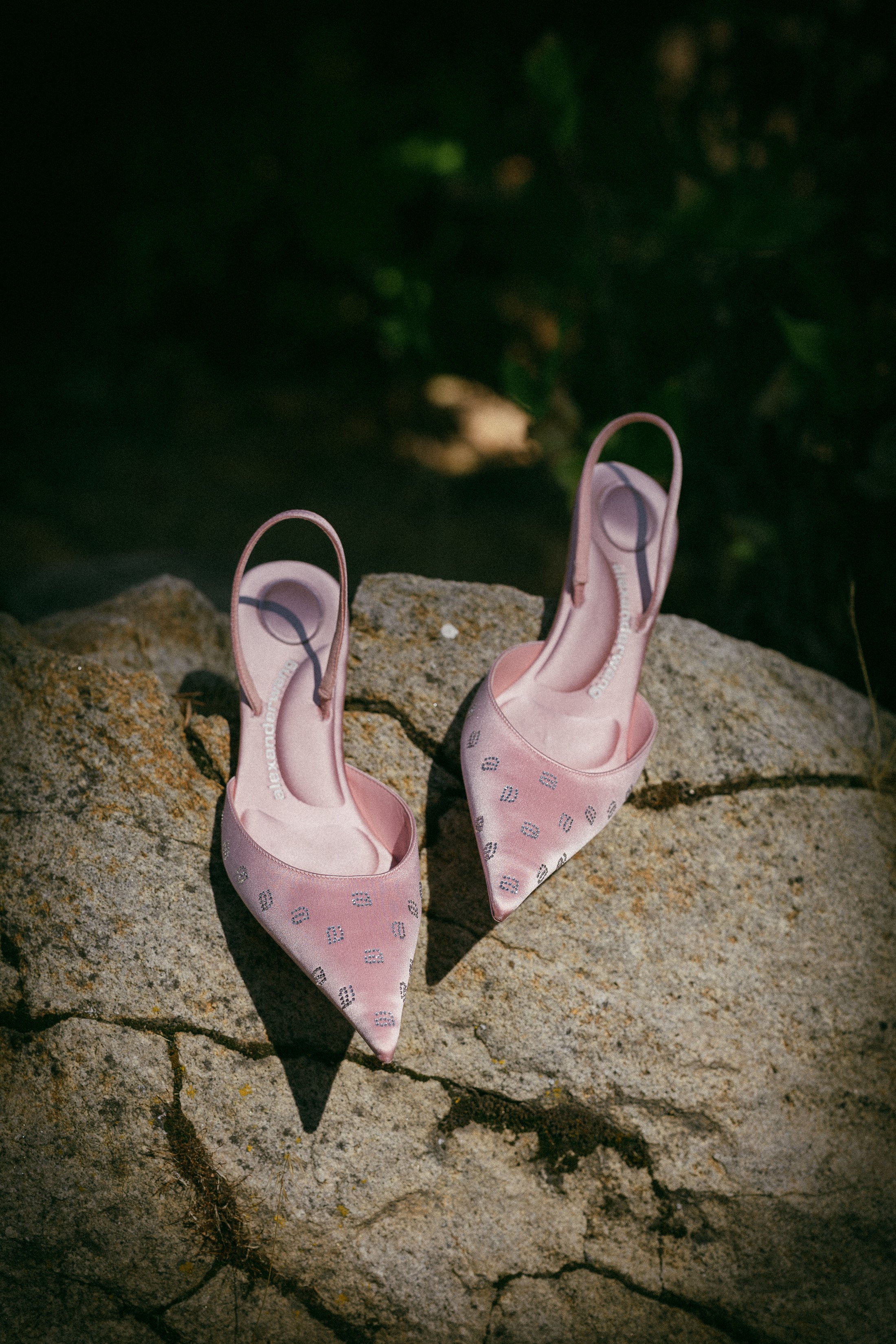 shelbyjunephotography (1 of 120).jpg