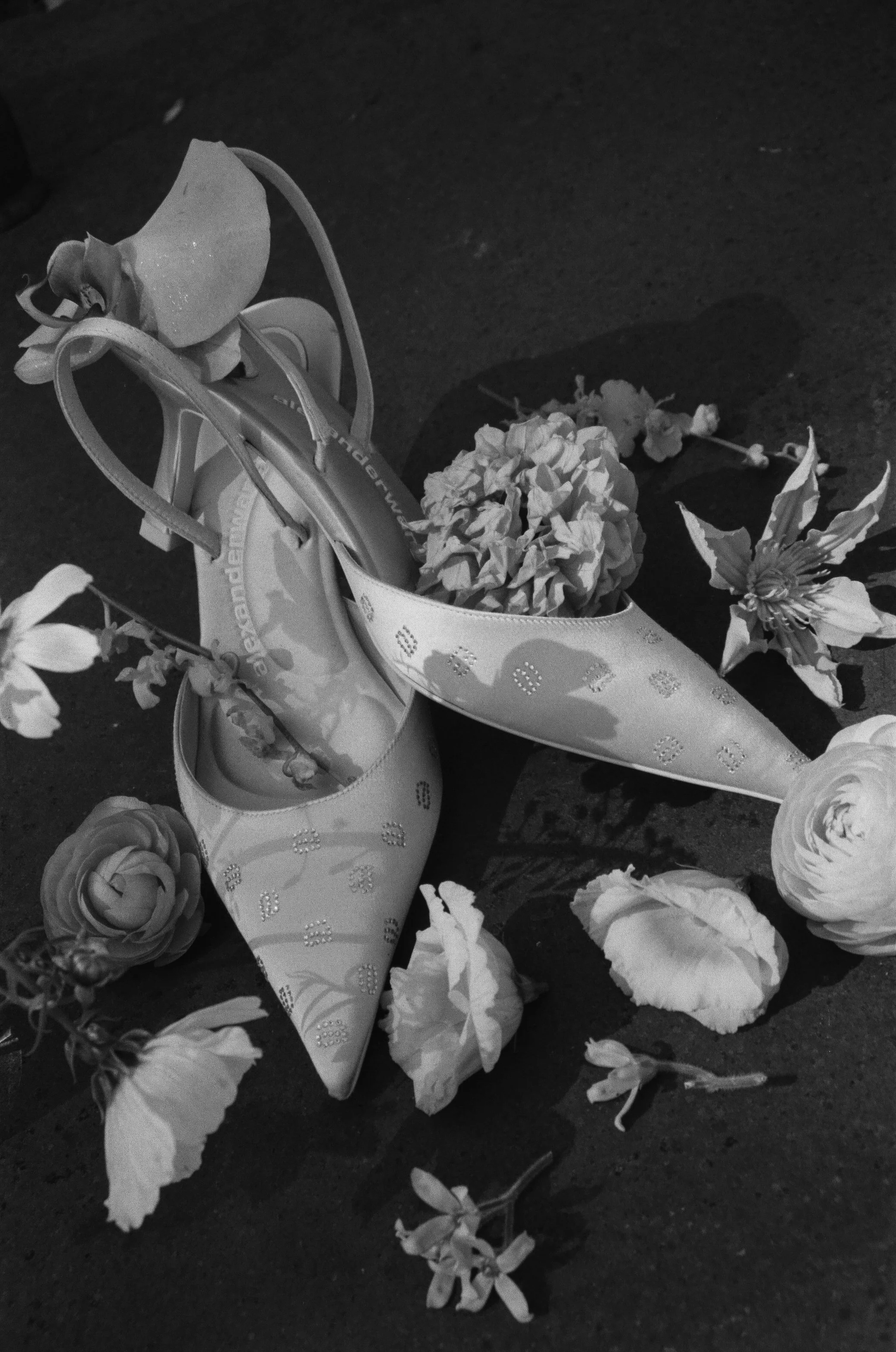 shelbyjunephotography (96 of 120).jpg