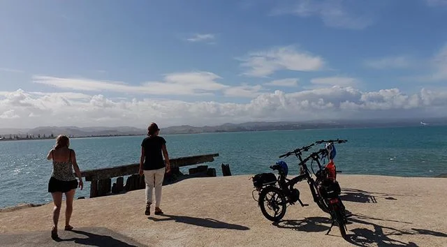 Explore Napier by E-bike. #ebikestyle
