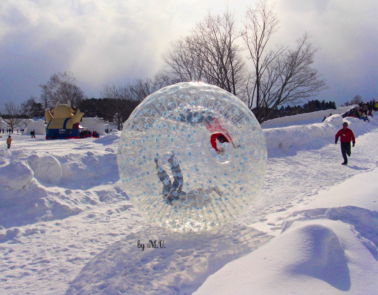 winterzorb.jpeg