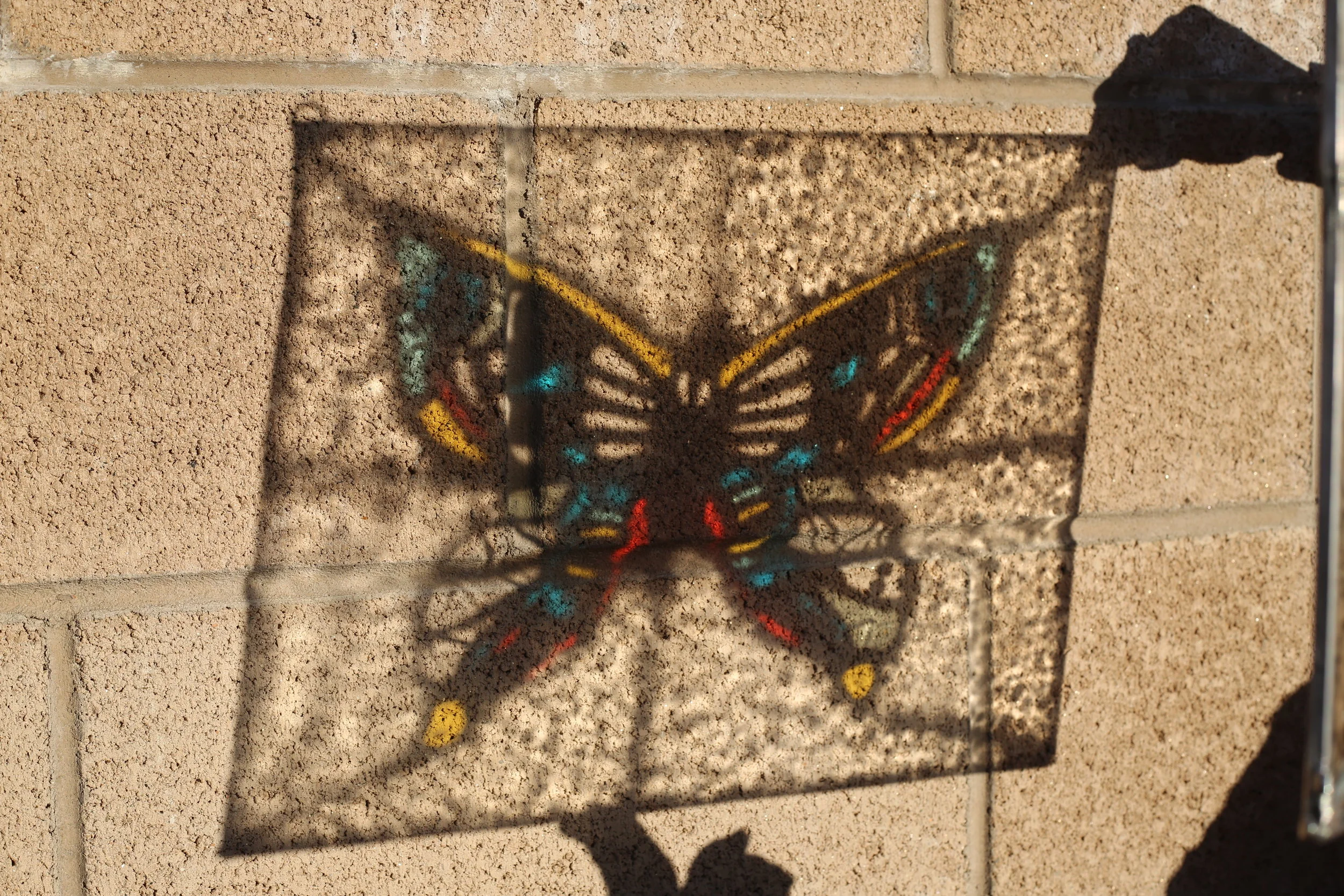 259A5223.JPG