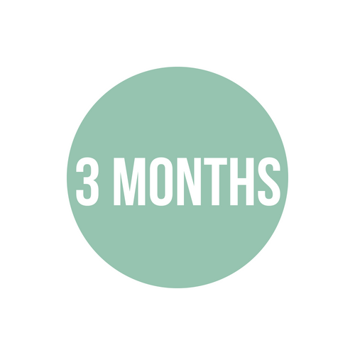 3months.png