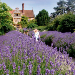 Belmond Le Manoir aux Quat’Saisons