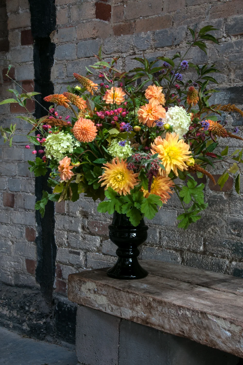 The Daily Telegraph - The last hurrah of summer with zinnias and dahlias