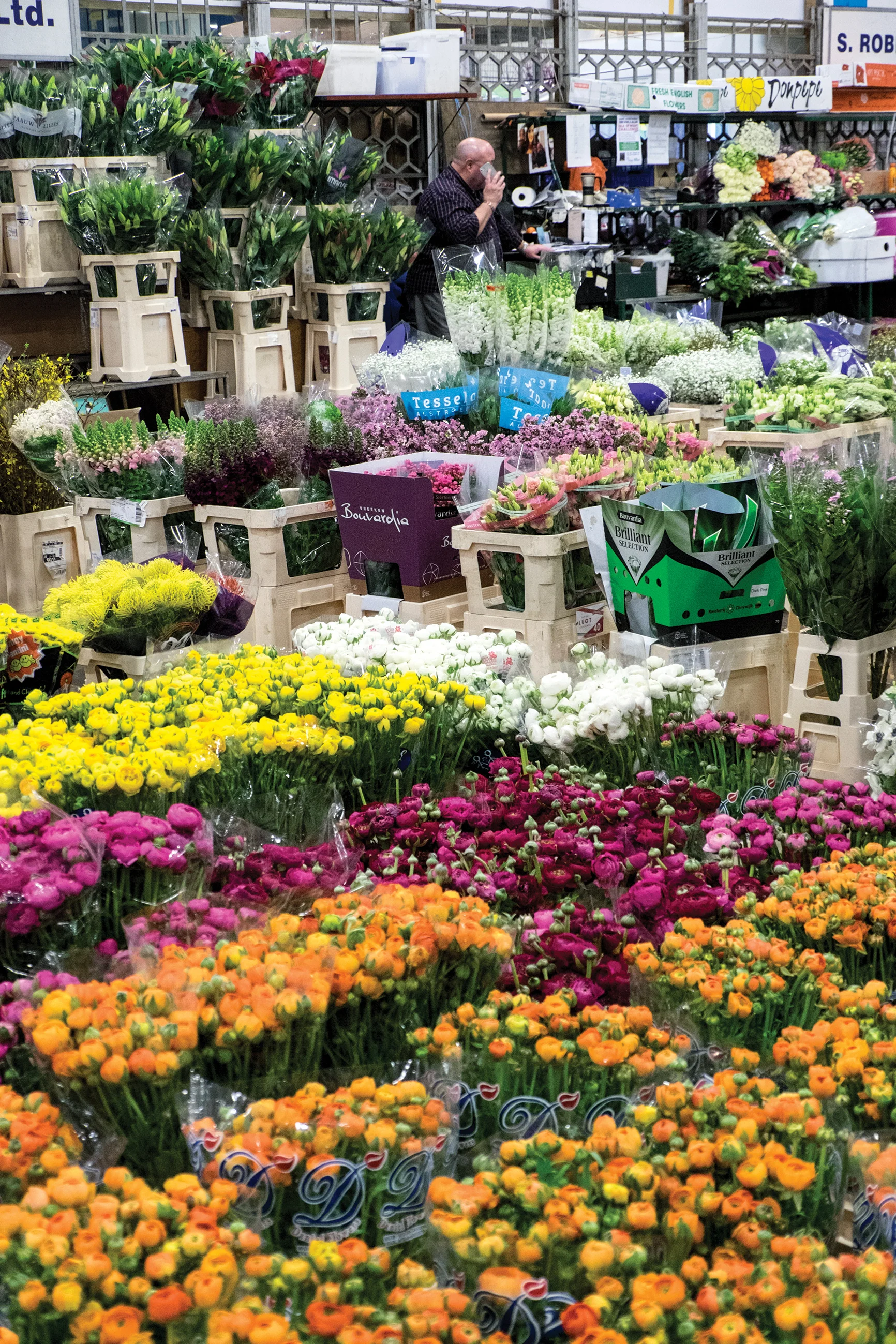 Review by Karen Gimson on her Bramblegarden blog - Click HERE