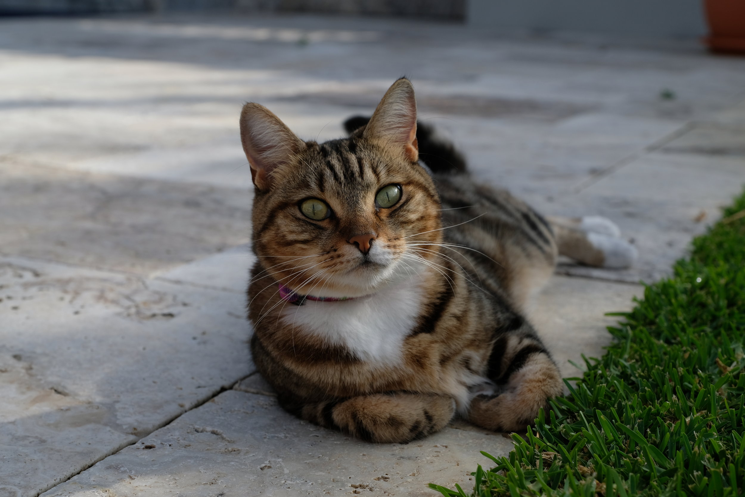 DSCF0164.JPG