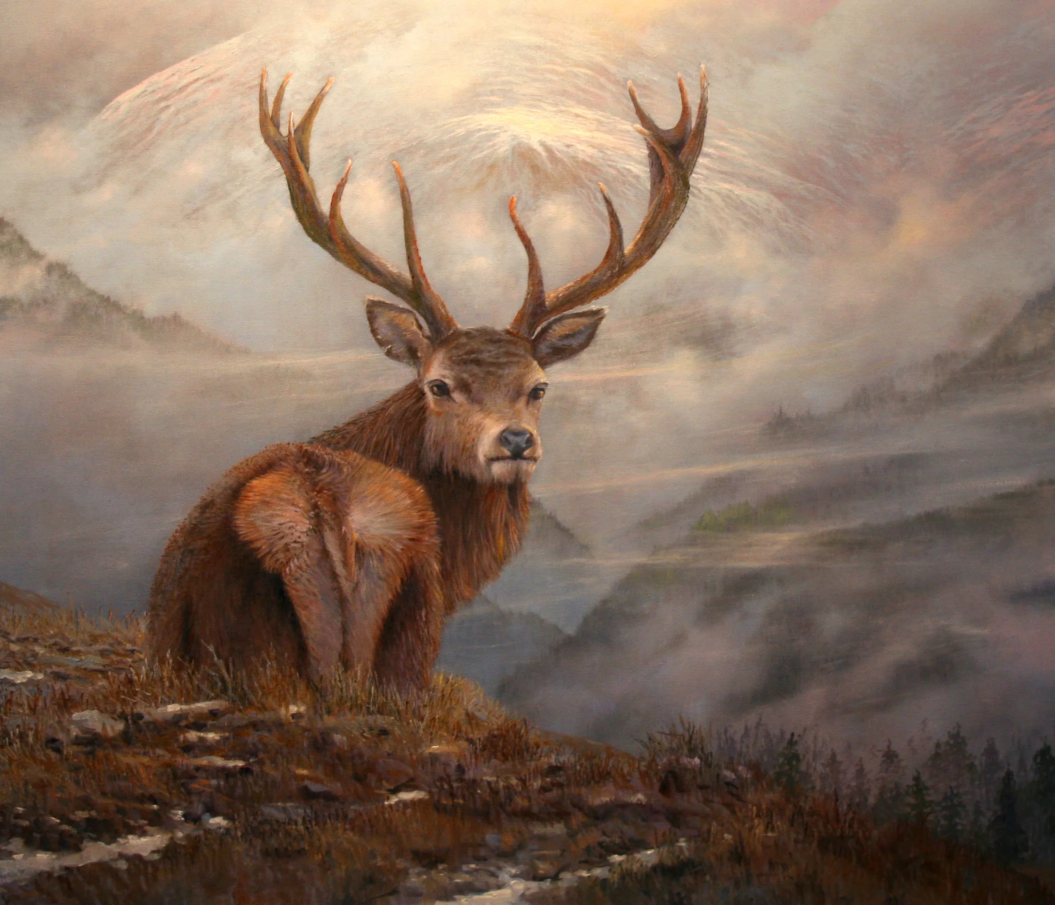giant_stag_glenlyon2.jpg